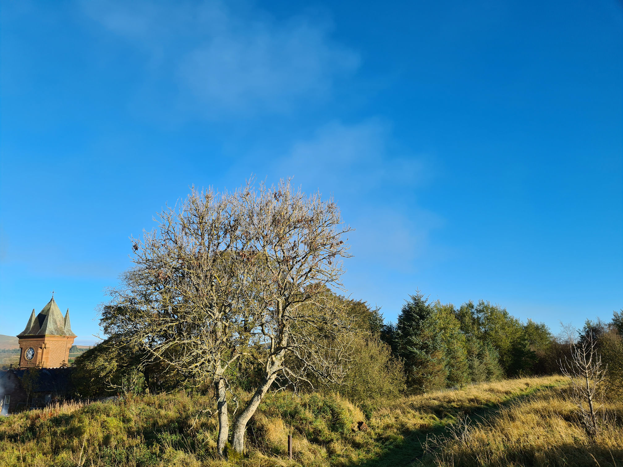 Grassy path, trees and the sandstone tower of the Muirkirk Institute building