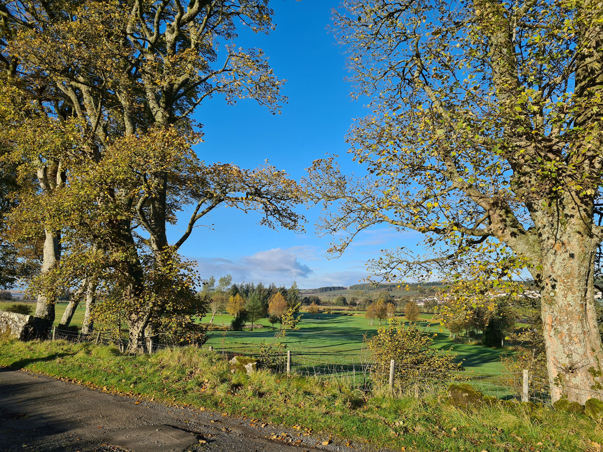 An old road, trees with golden leaves, green fields, blue sky