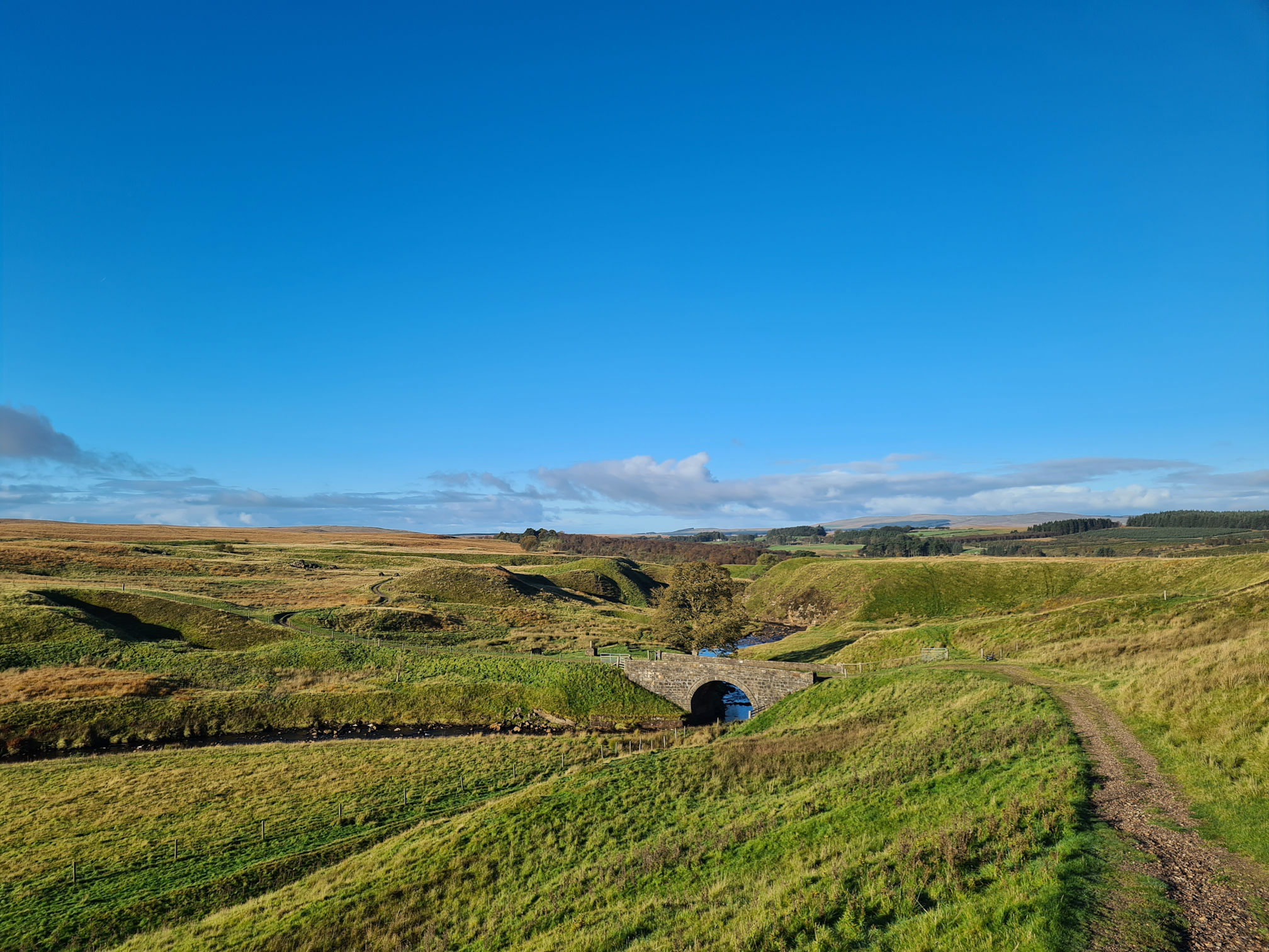 Old stone bridge in the distance with water running underneath, open countryside