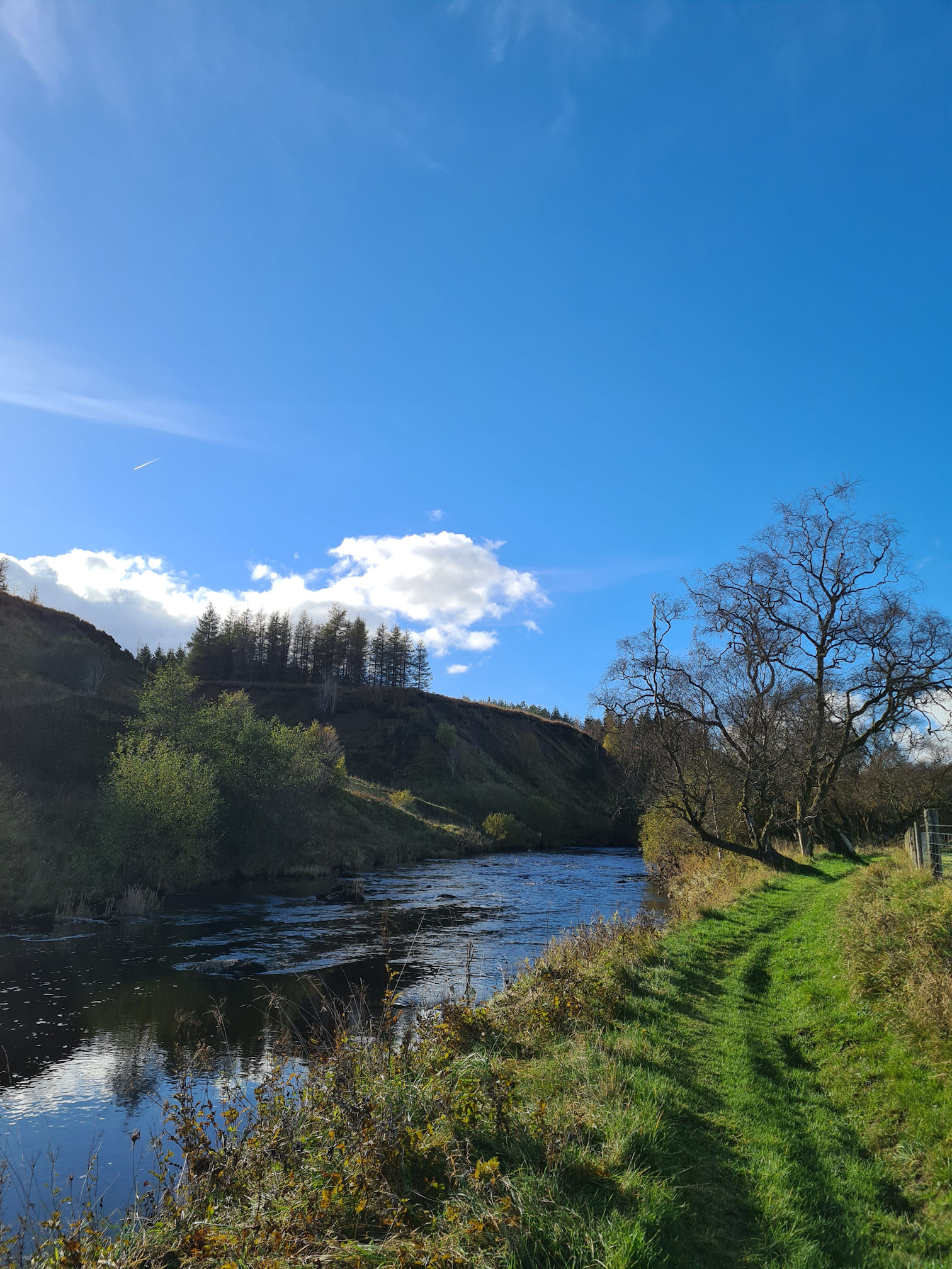 River, trees, grassy path
