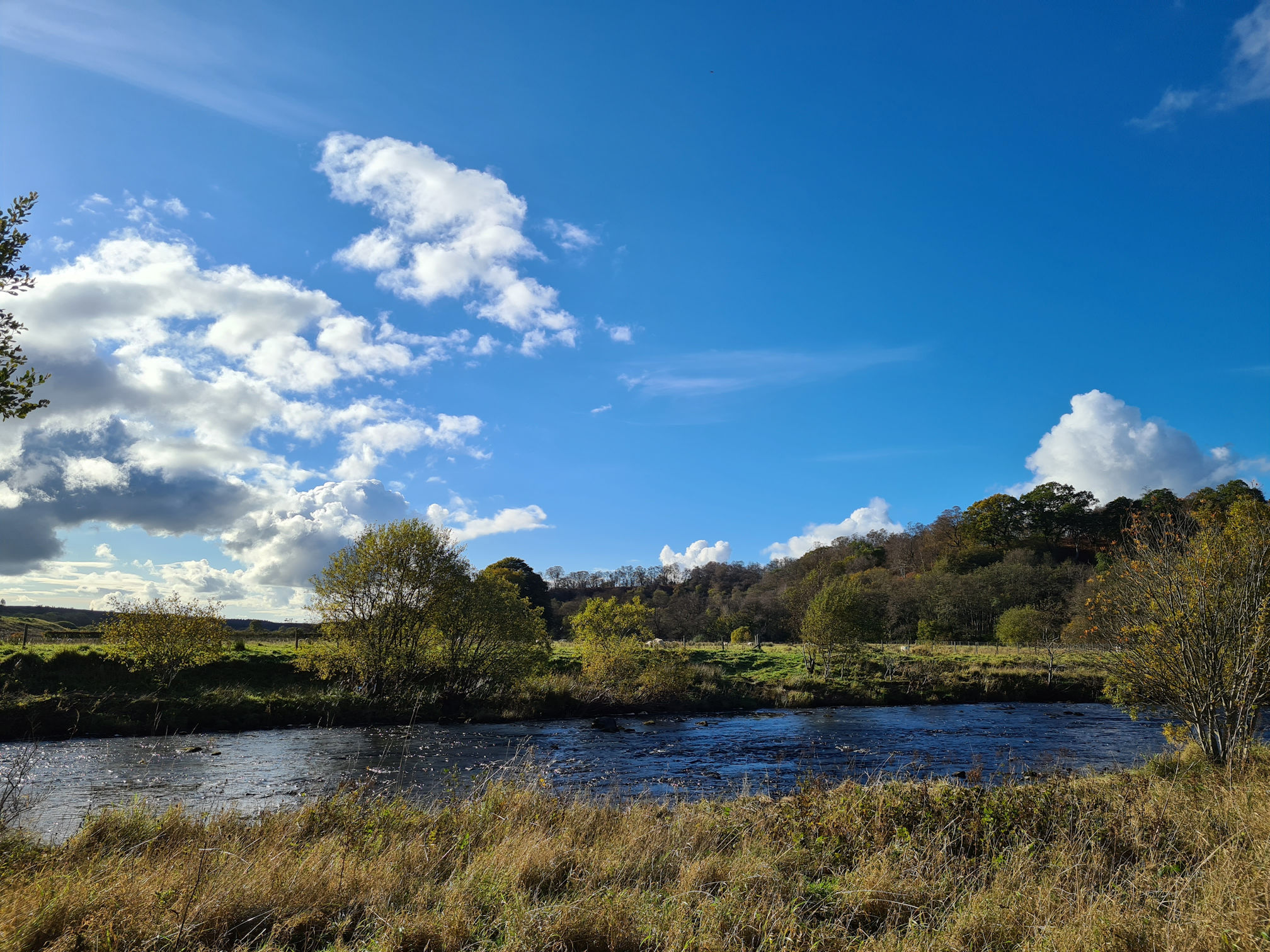 Looking across the river, large open sky with a bright blue sky and puffy white clouds