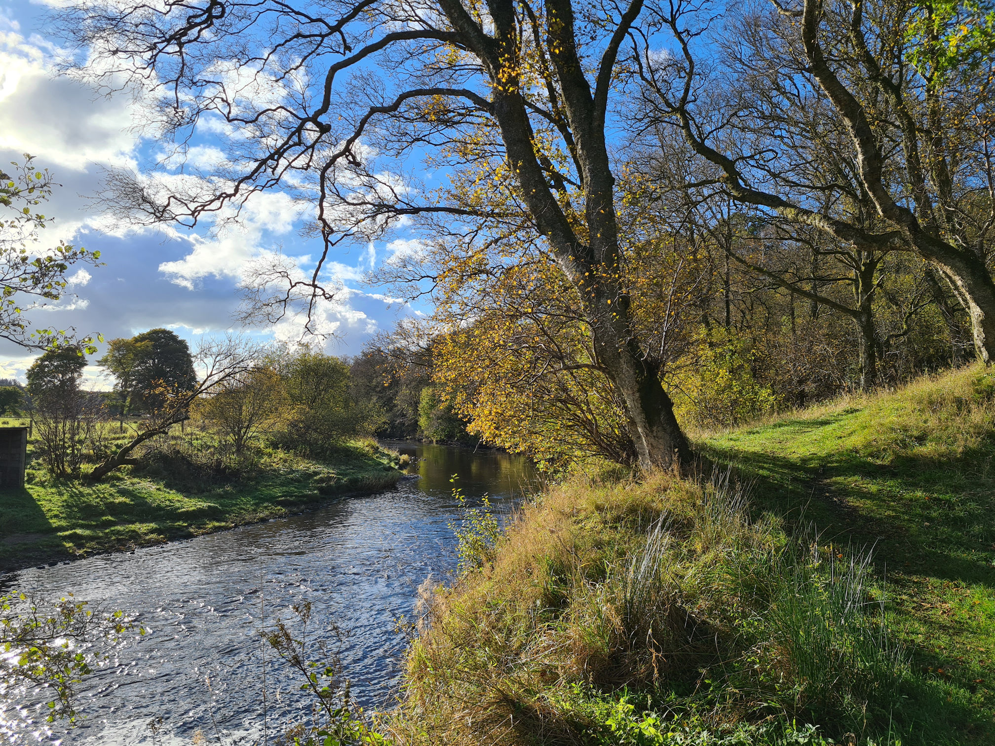 River, trees and grassy path