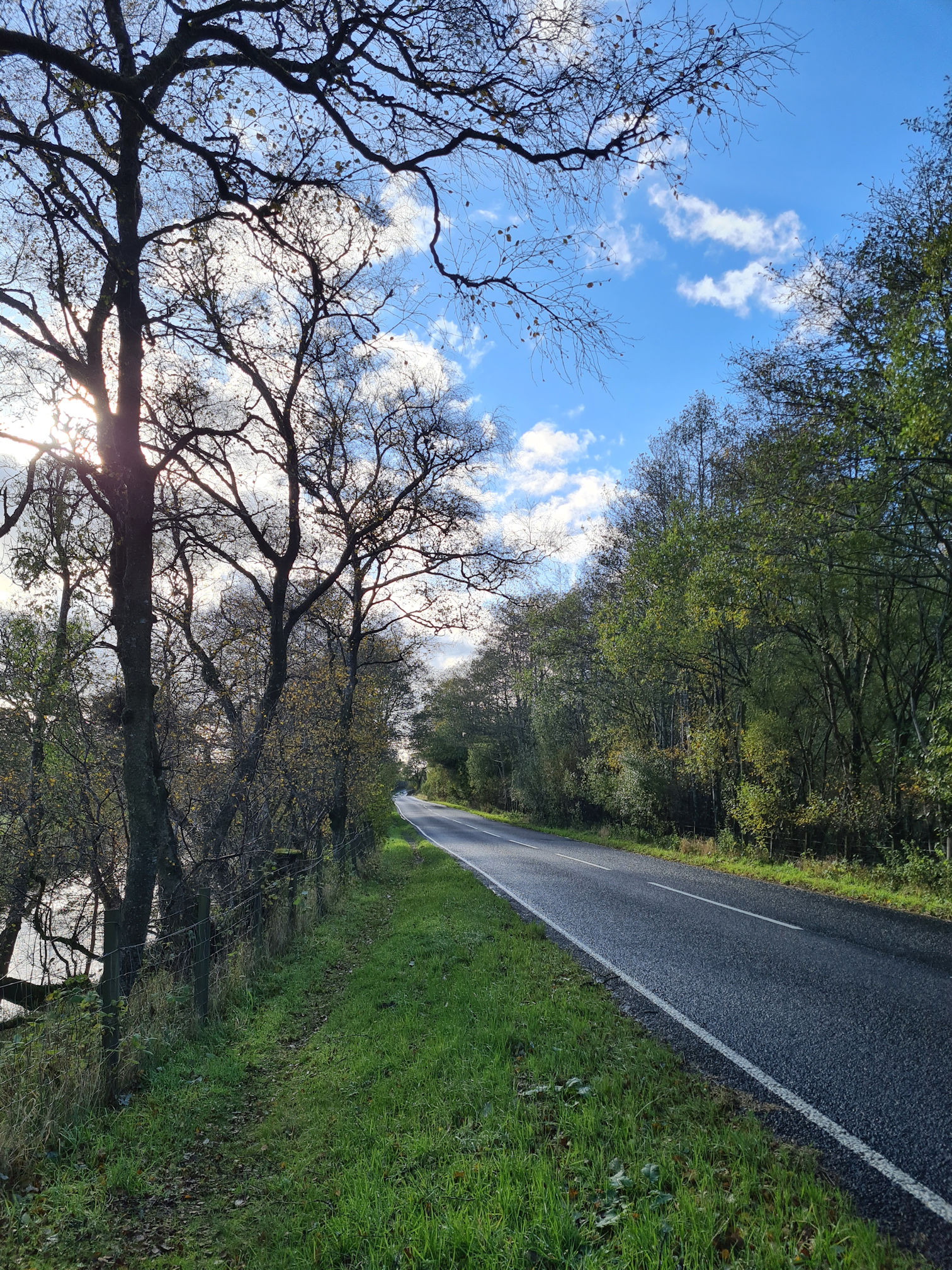 Road, trees, grassy edge to walk along