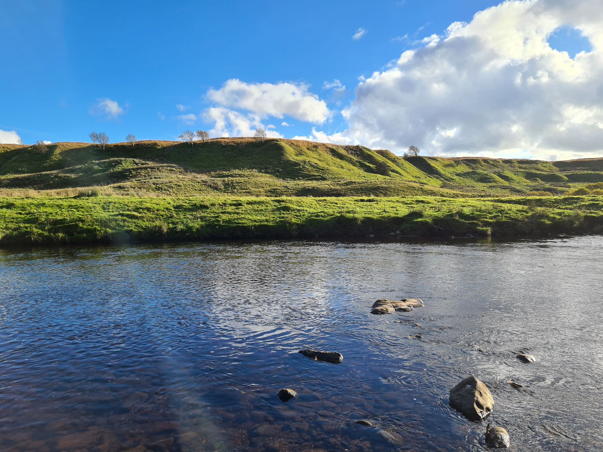 View across the river, small hill and trees here and there