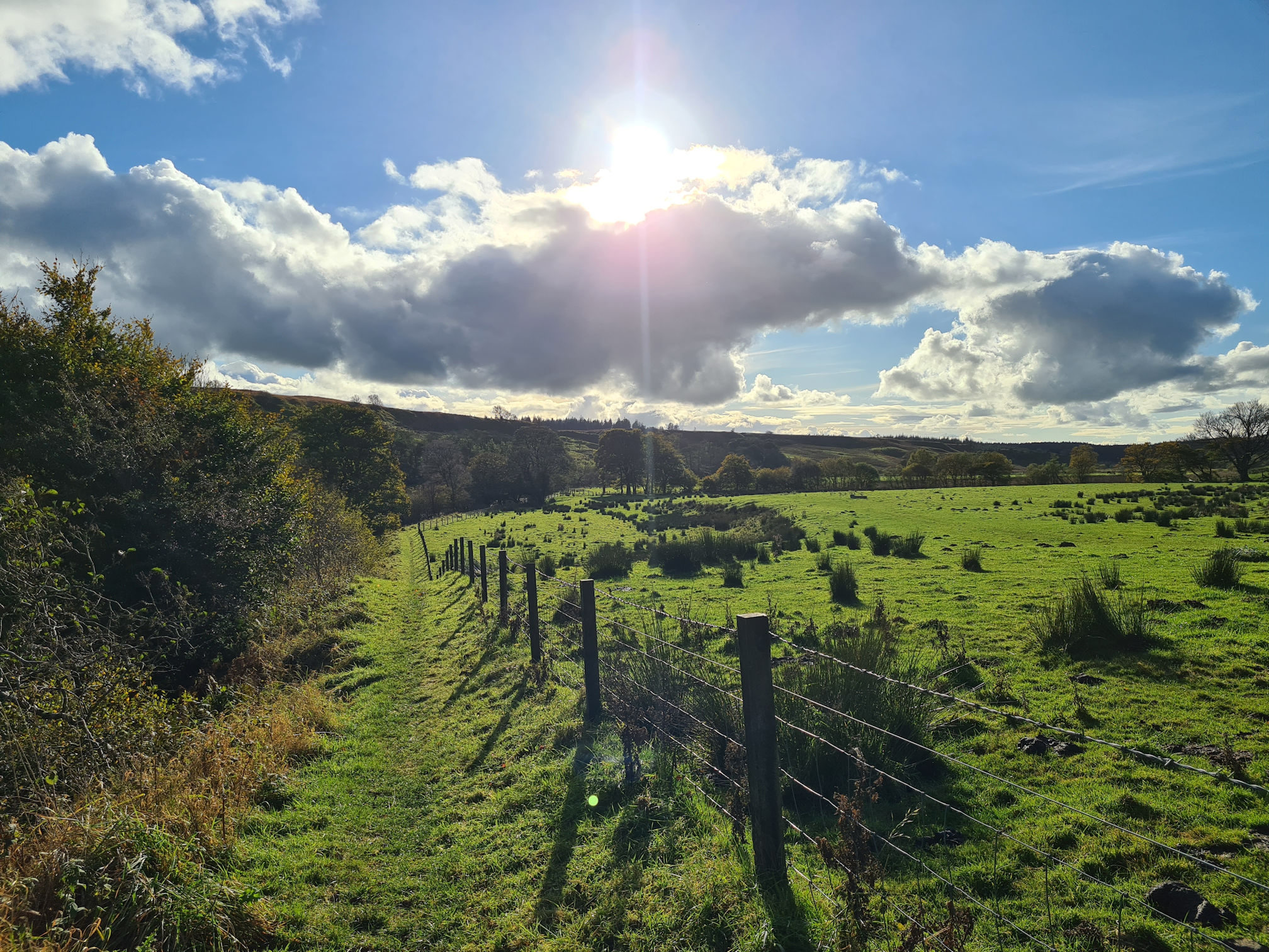 Narrow grassy path, fence walking into the sun