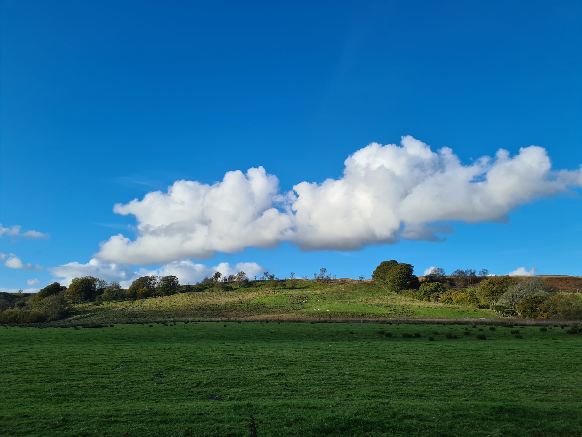 Green field, small hill with trees and large fluffy white clouds domineering the bright blue sky