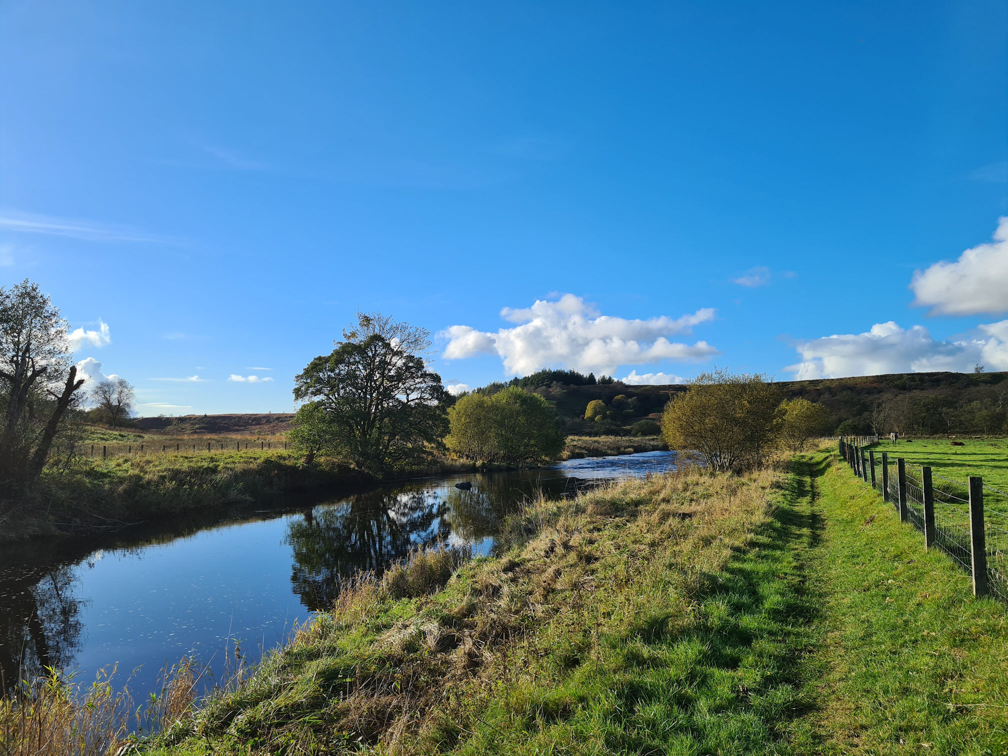 Grassy path, river and trees
