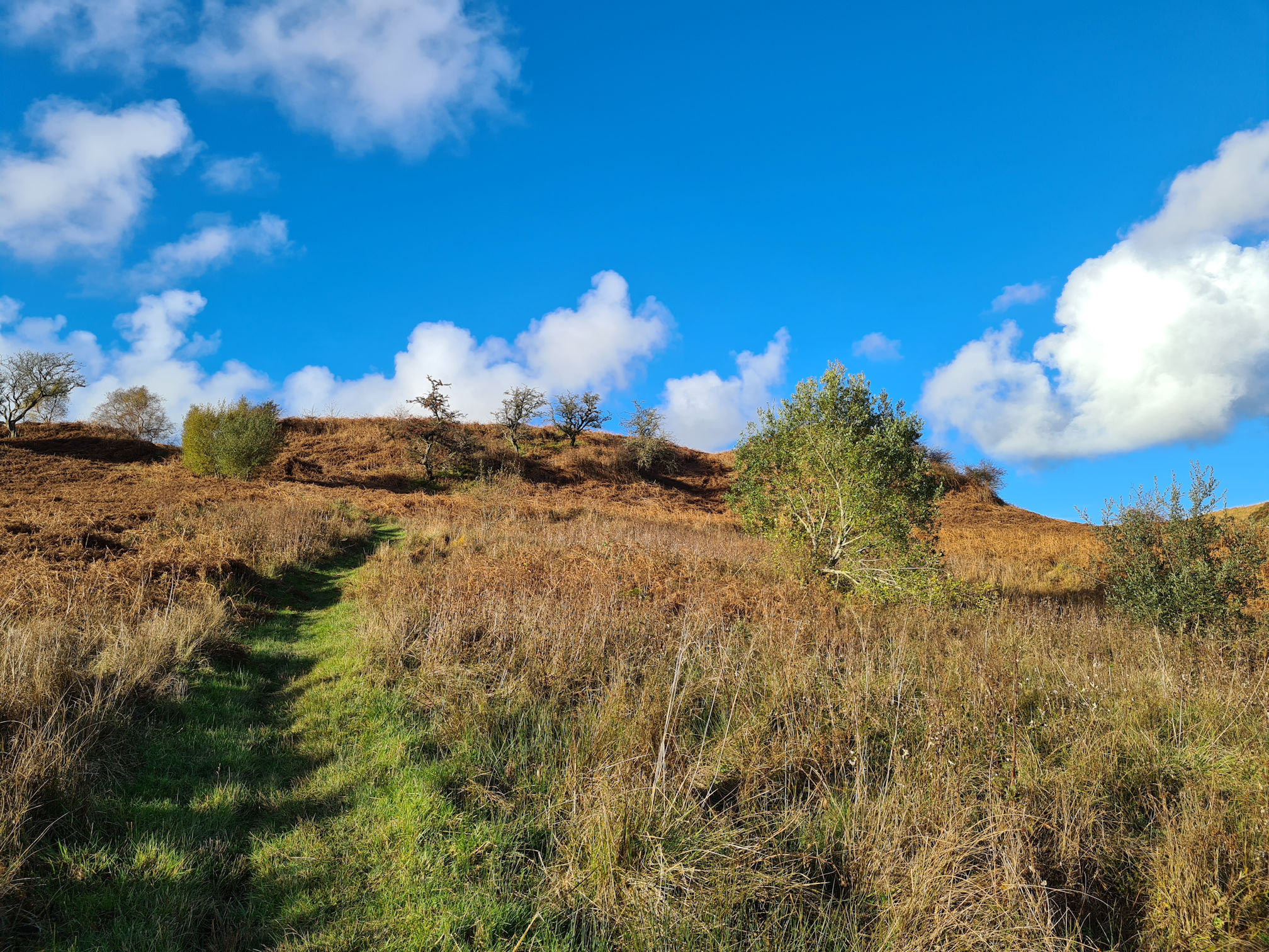 Grassy boggy path and autumn foliage going uphill