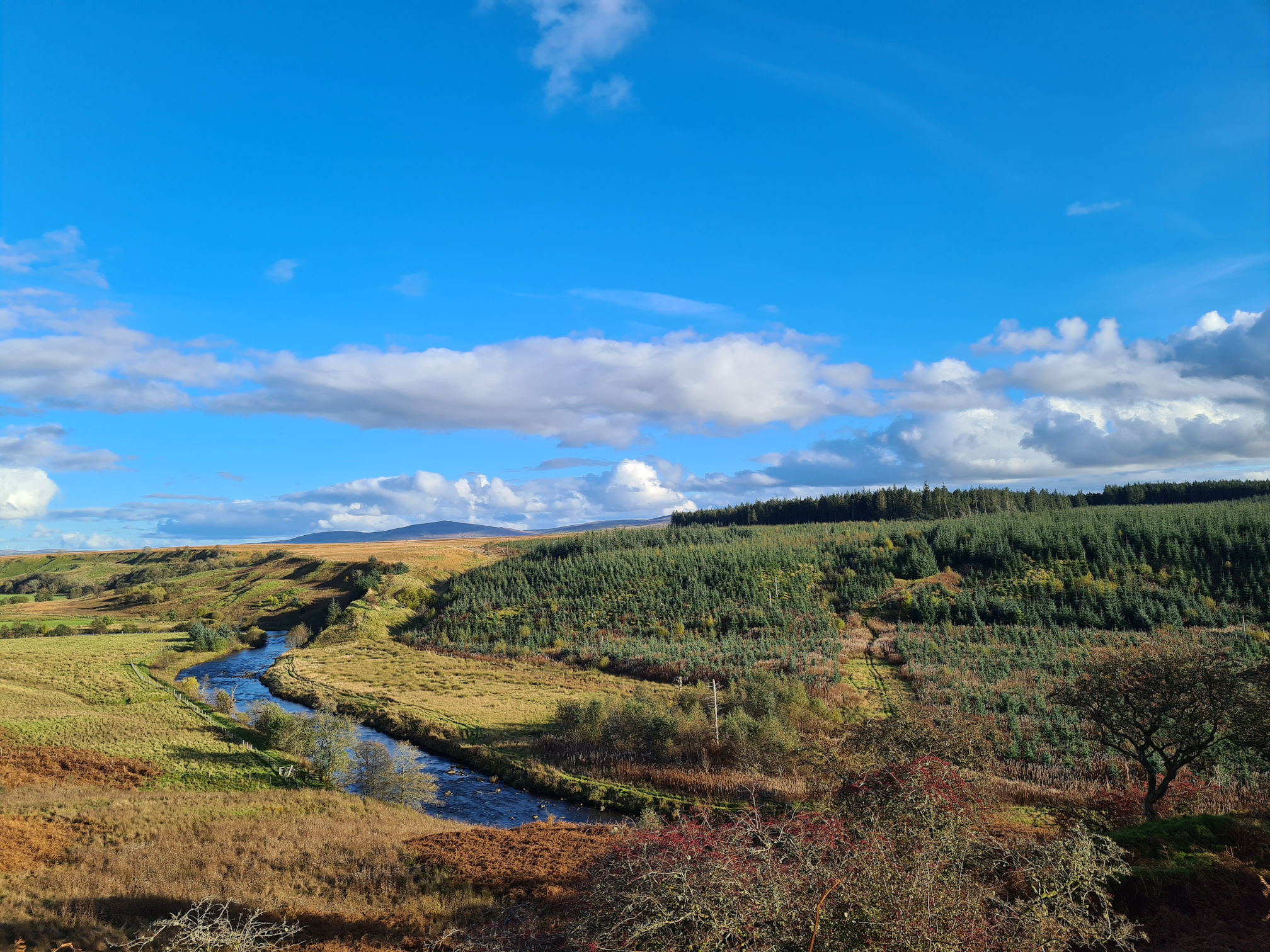 The River Ayr meanders through the brown land below, with evergreen trees and hills in the distance