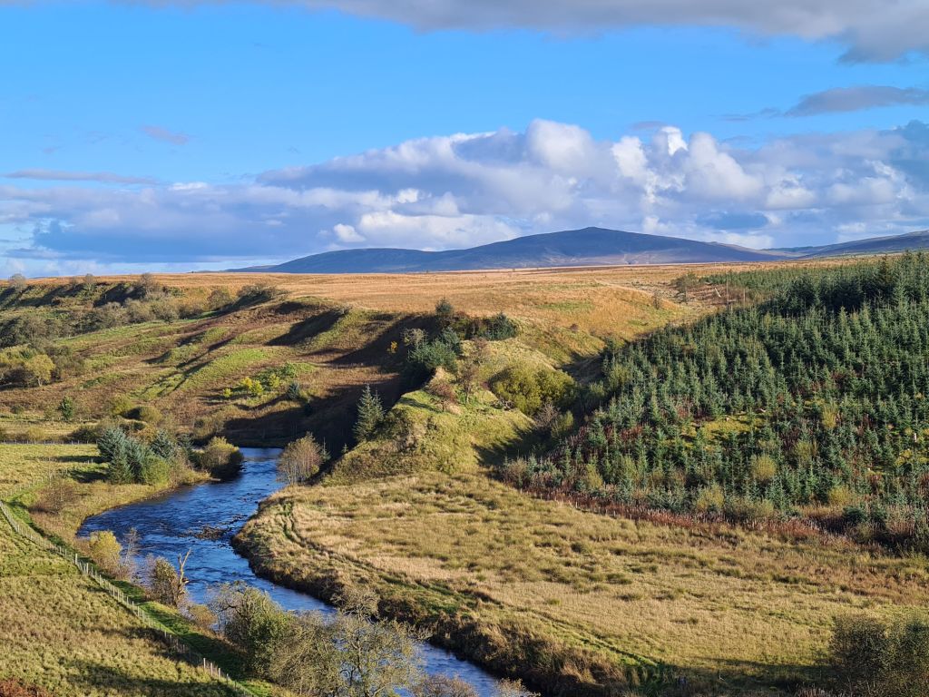 The River Ayr meanders through the brown land below, with evergreen trees and hills in the distance