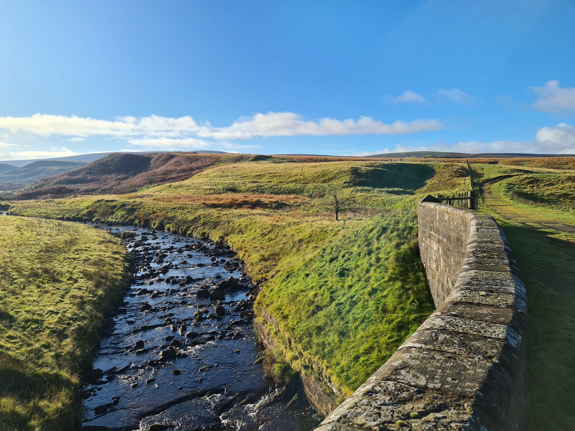 The Garpel Water and the wall of Tibbie's Brig