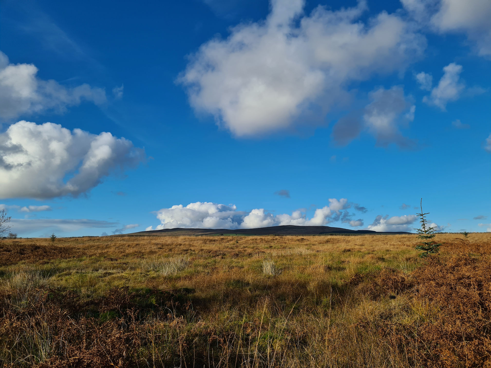 A brown moorland landscape, hills in the distance, a huge open sky that's bright blue with large puffy white clouds