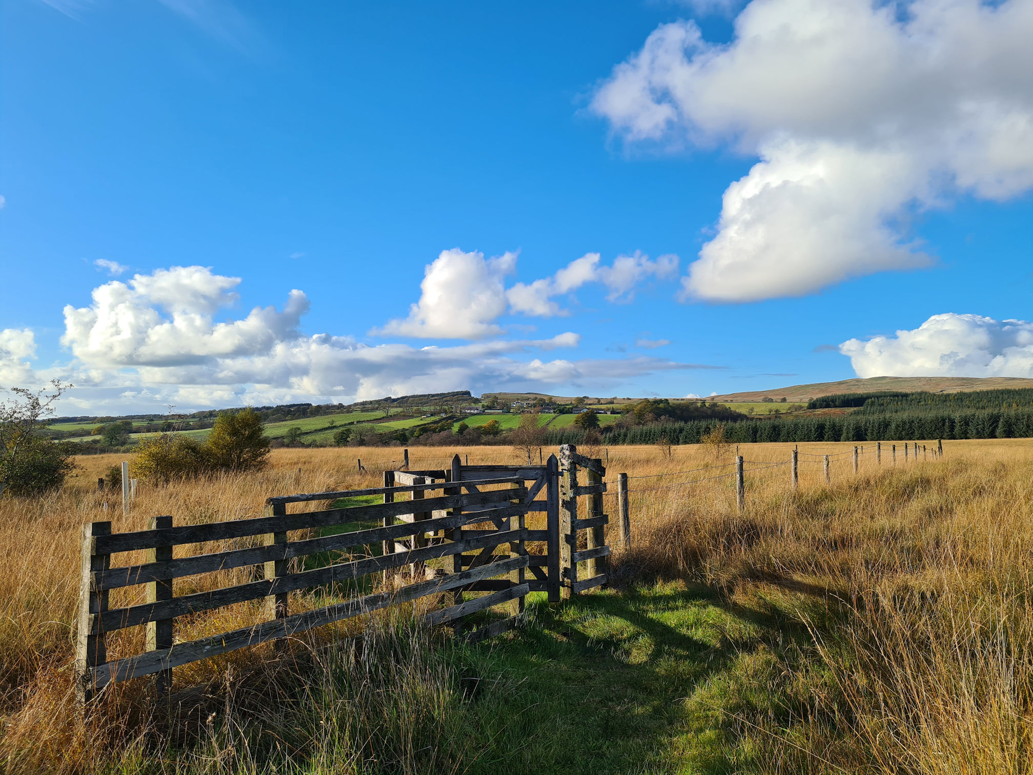 A gate and open countryside with colours of green and brown