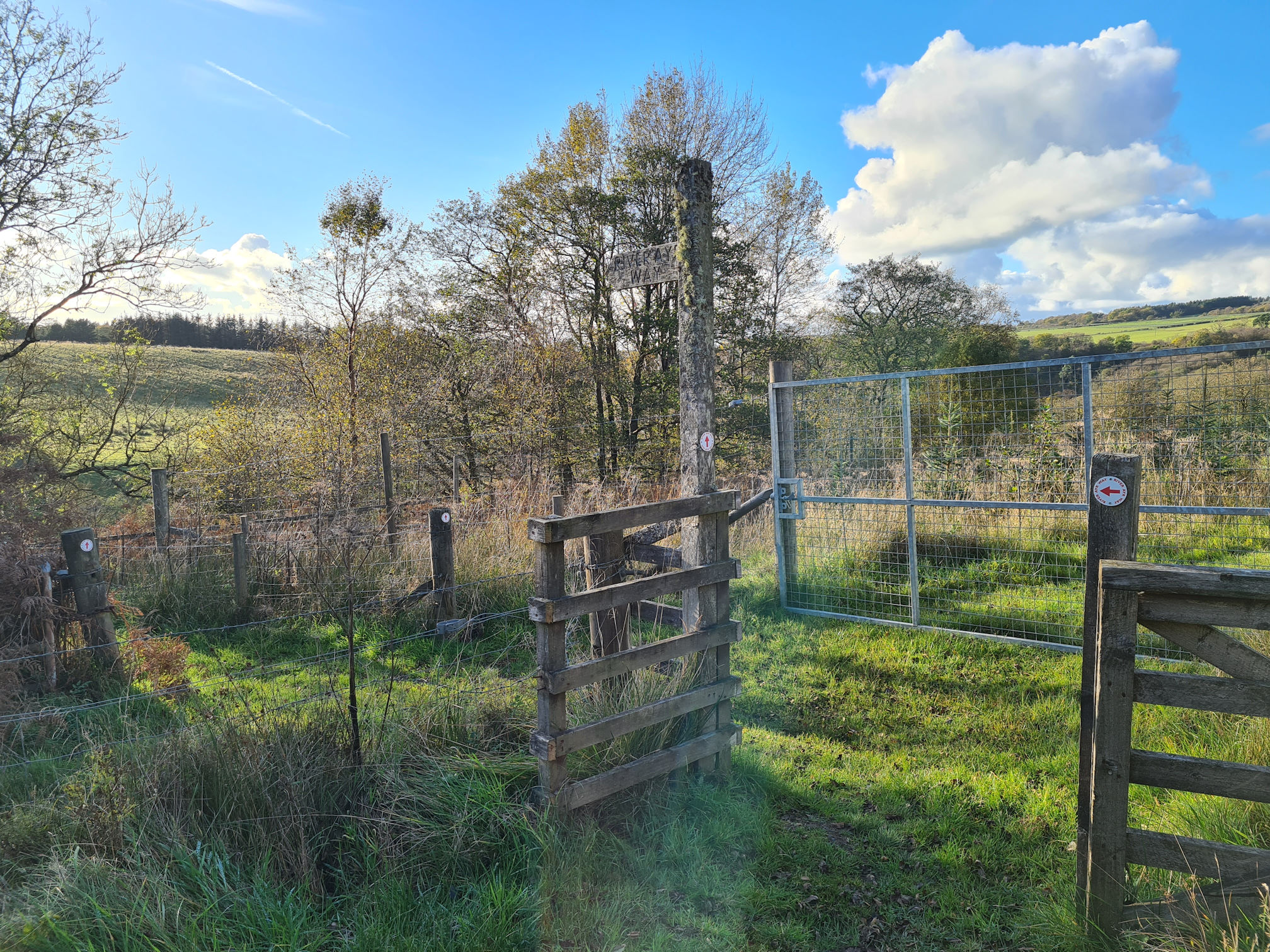 Five signs for the River Ayr Way - this is definitely the way to go!
