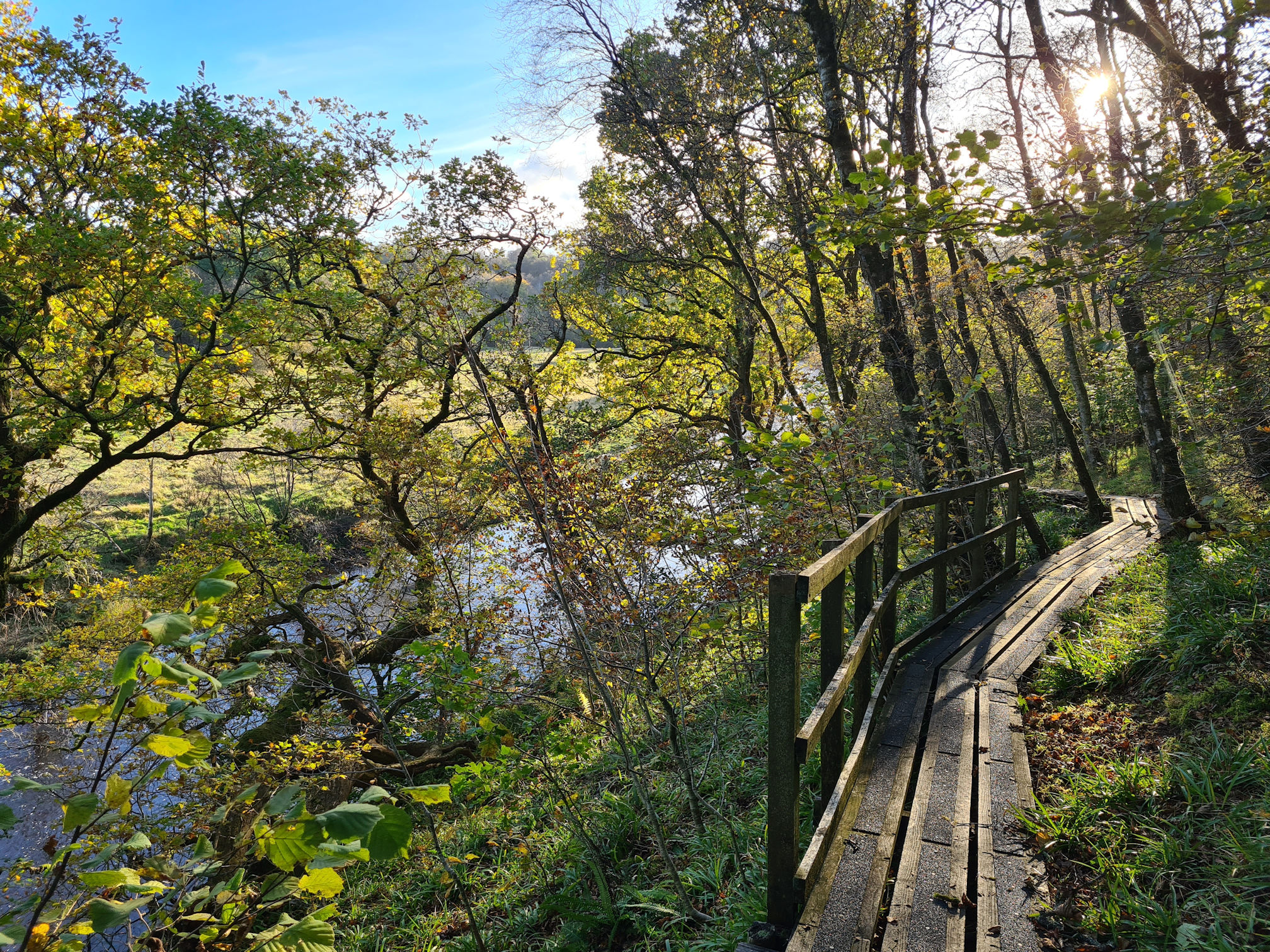 Wooden boardwalk sitting above the River Ayr
