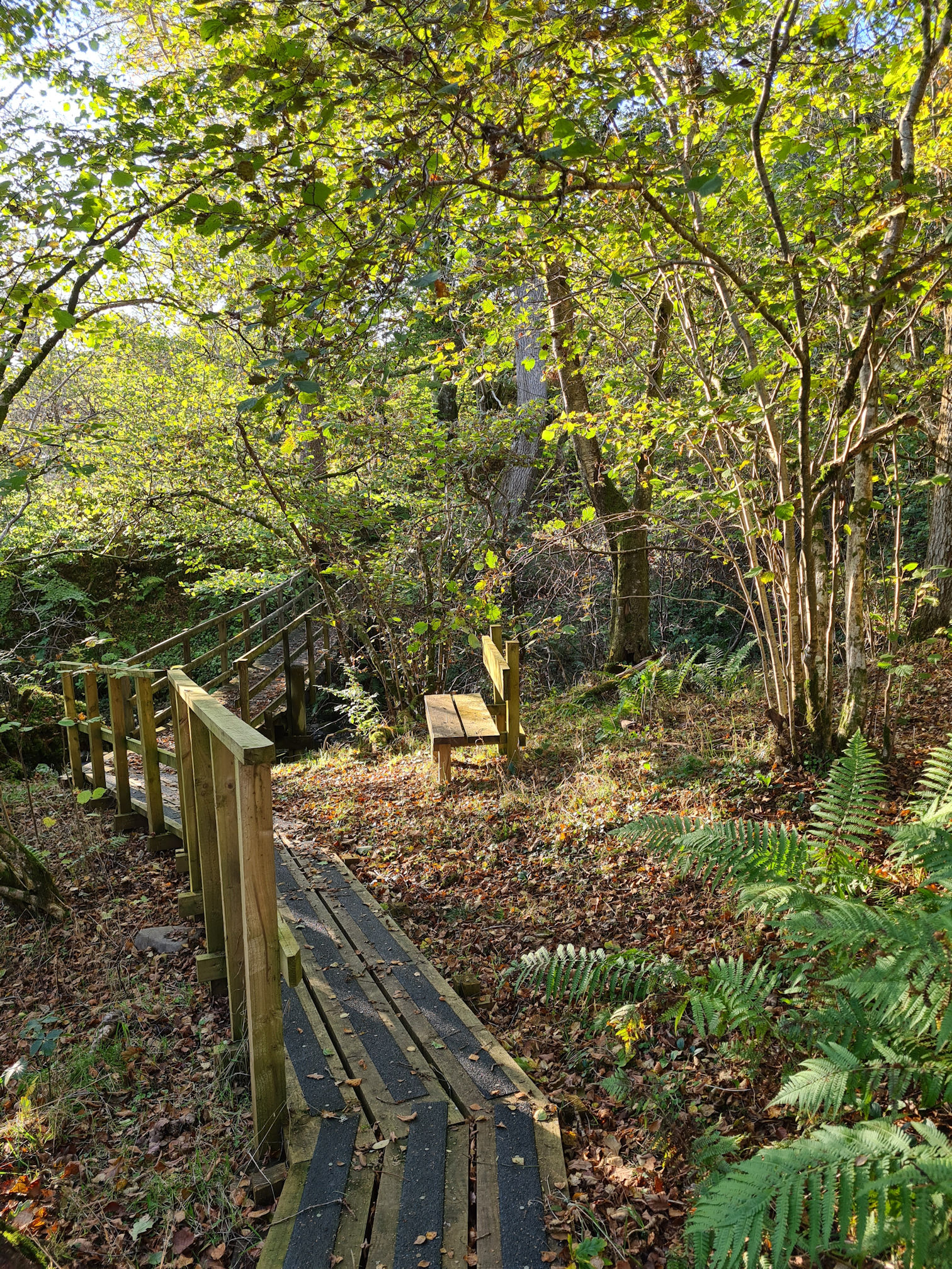 Narrow wooden boardwalk along the River Ayr Way, and a wooden bench beside it