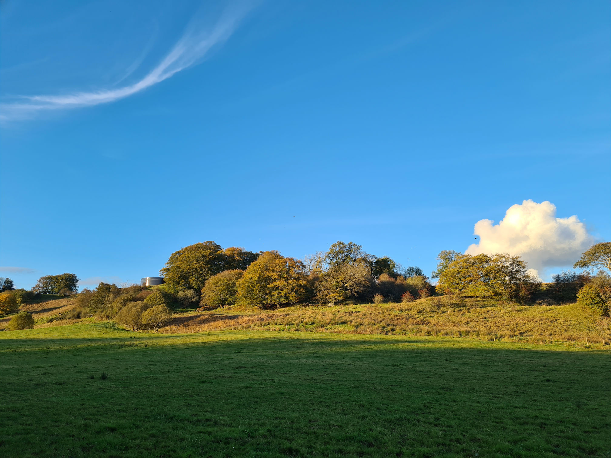 A green field in the shade the further back is lit up with the warm glow of sunset, blue sky, white wispy and puffy cloud