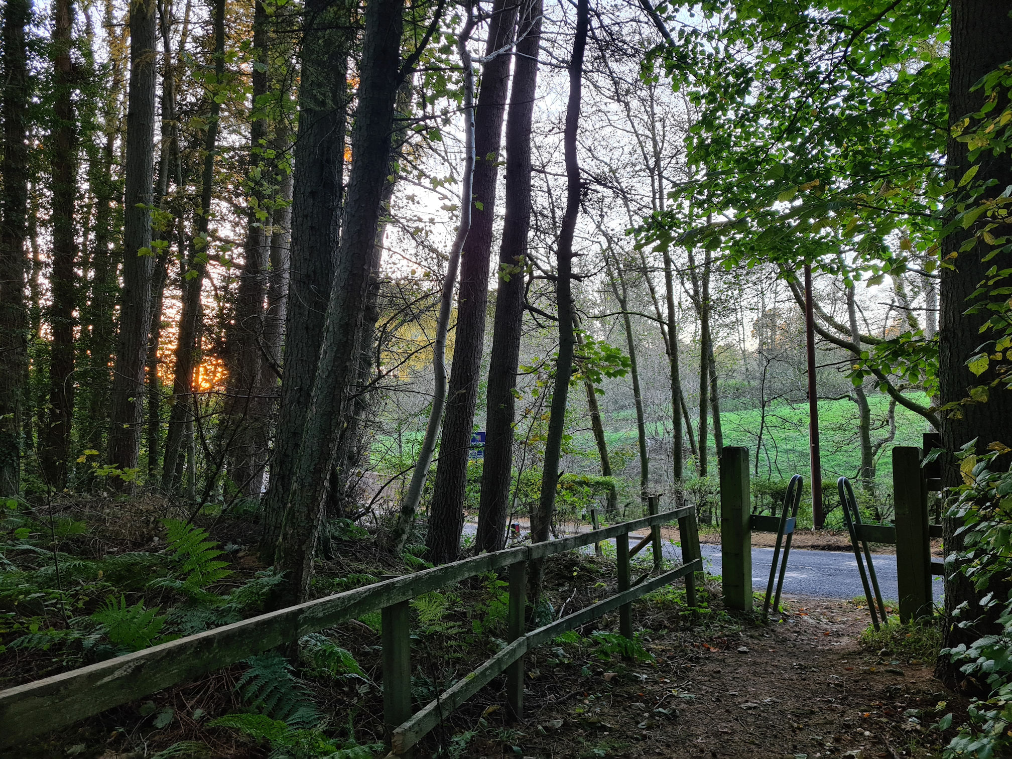 Approaching an opening in the woods that leads to a road