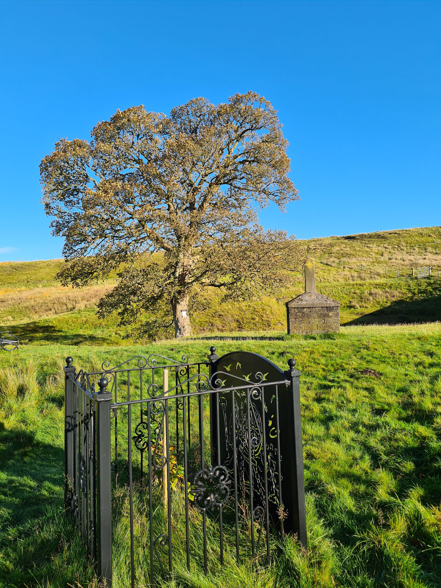 Iron railing, stone monument and a large Sycamore tree, in memory of Tibbie Pagan