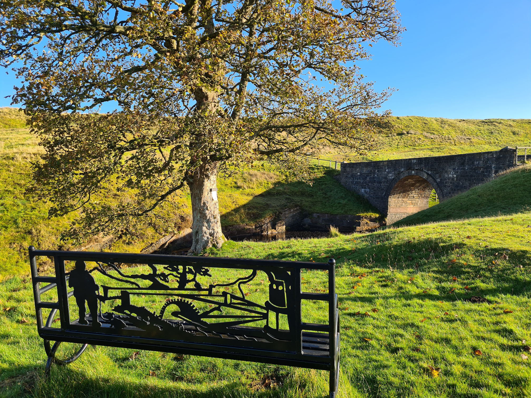 Metal bench, Sycamore tree and Tibbie's brig