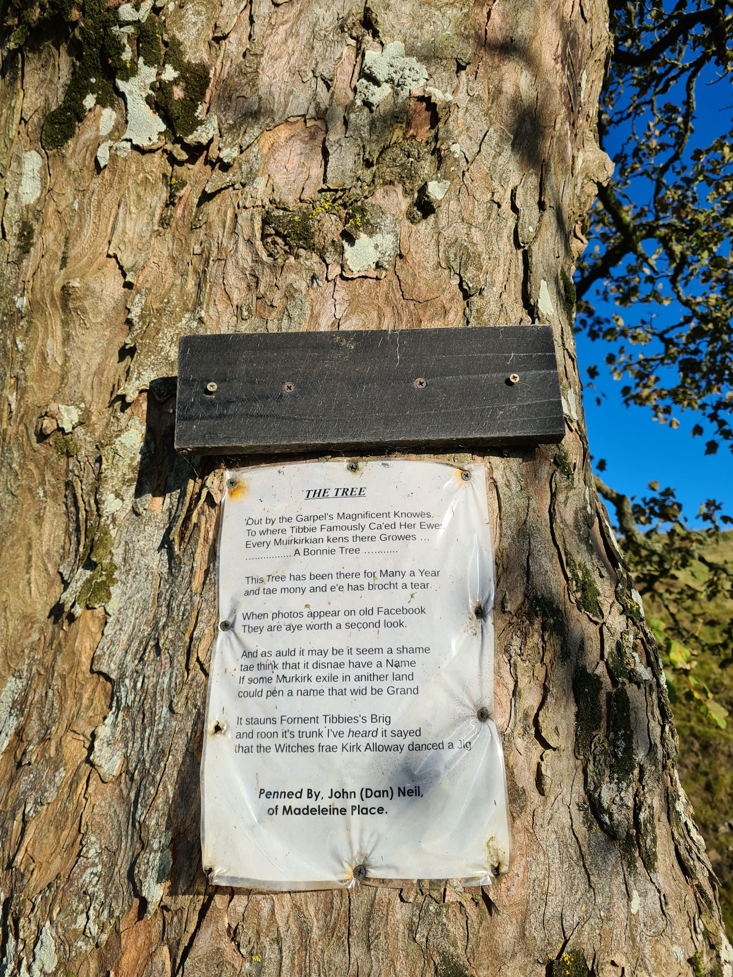 A poem pinned to the trunk of a tree