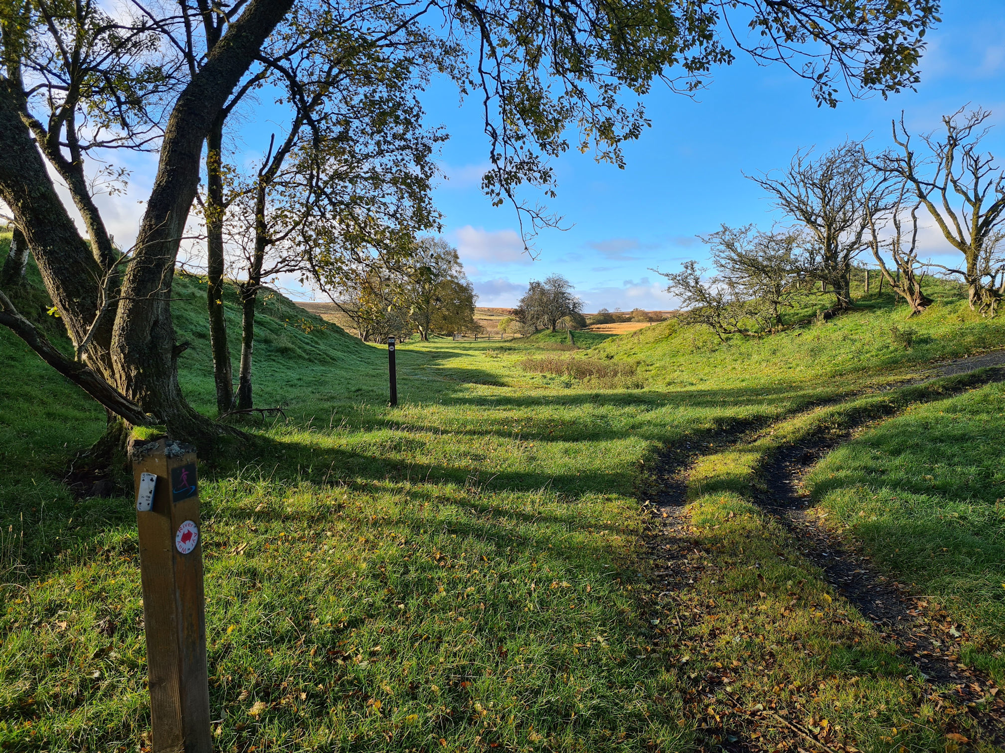River Ayr Way signpost and a grassy path turning right and straight ahead