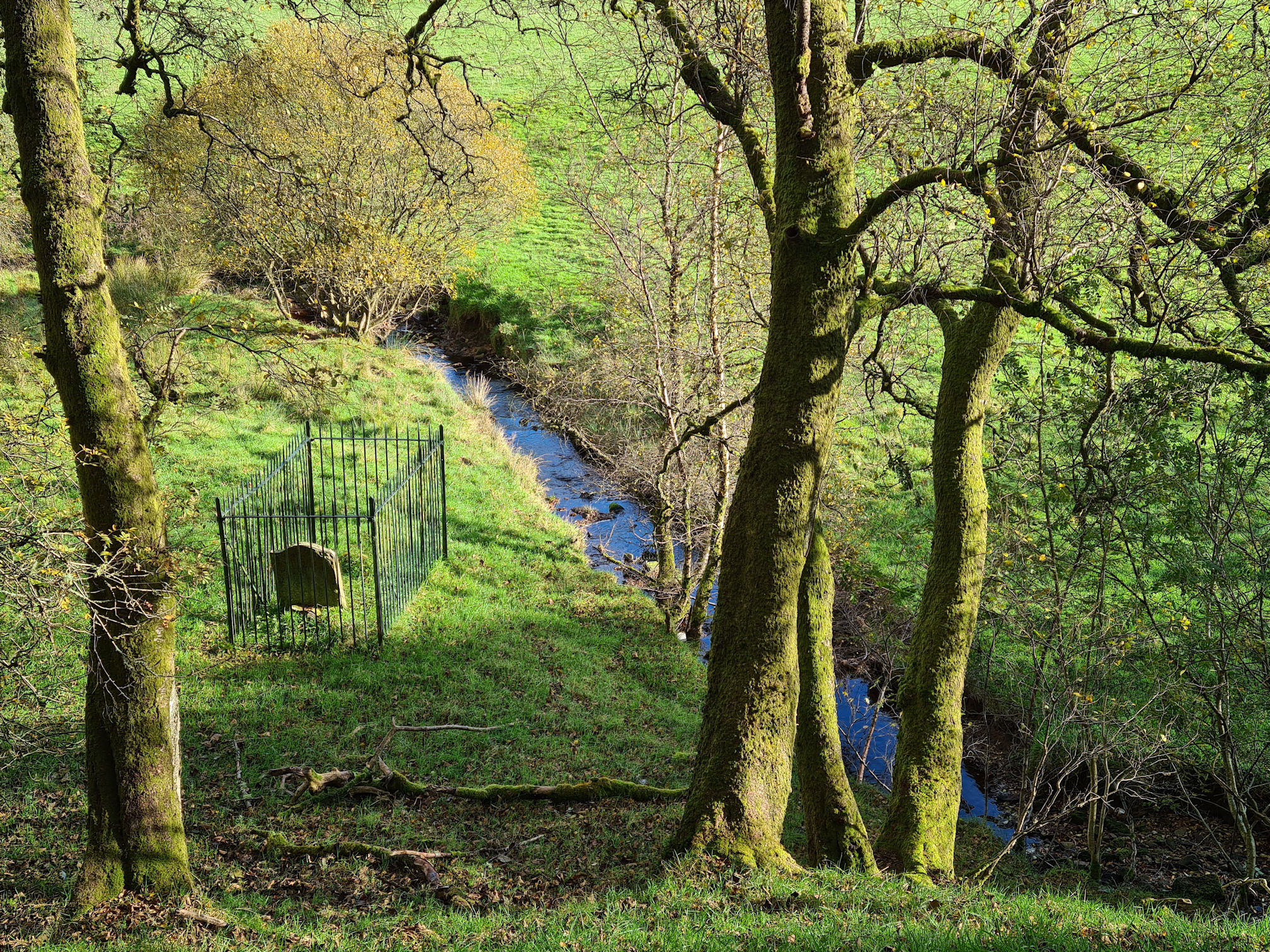 A gravestone with a metal fence around it, beside a small burn and trees. The Covenanter William Adam was killed and buried here.