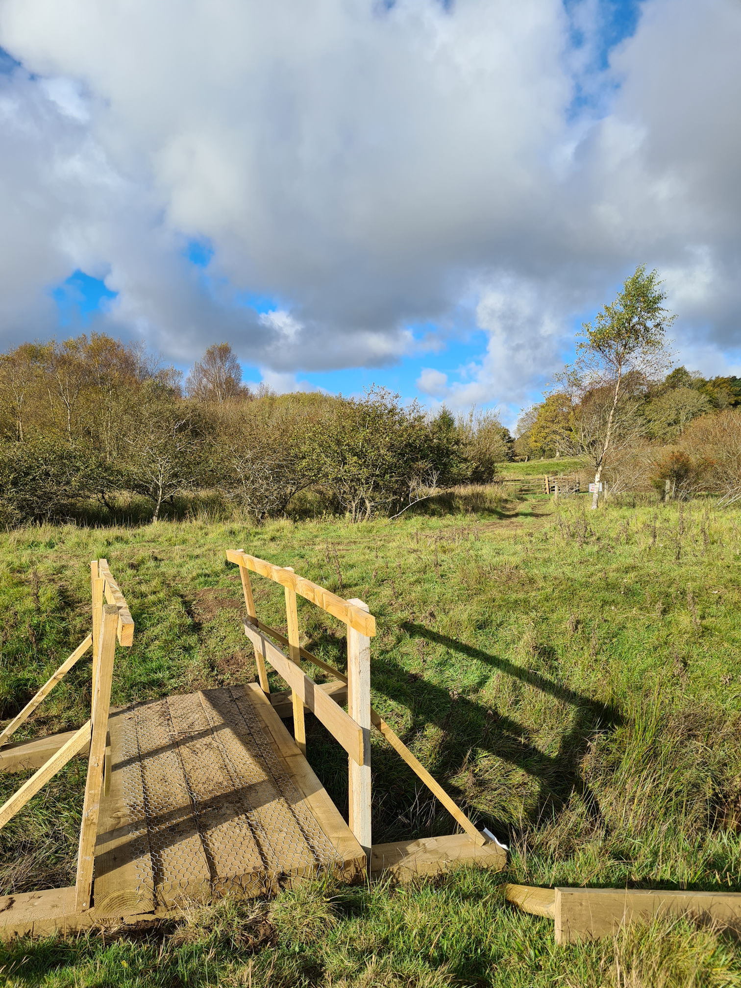 A newly built small wooden footbridge