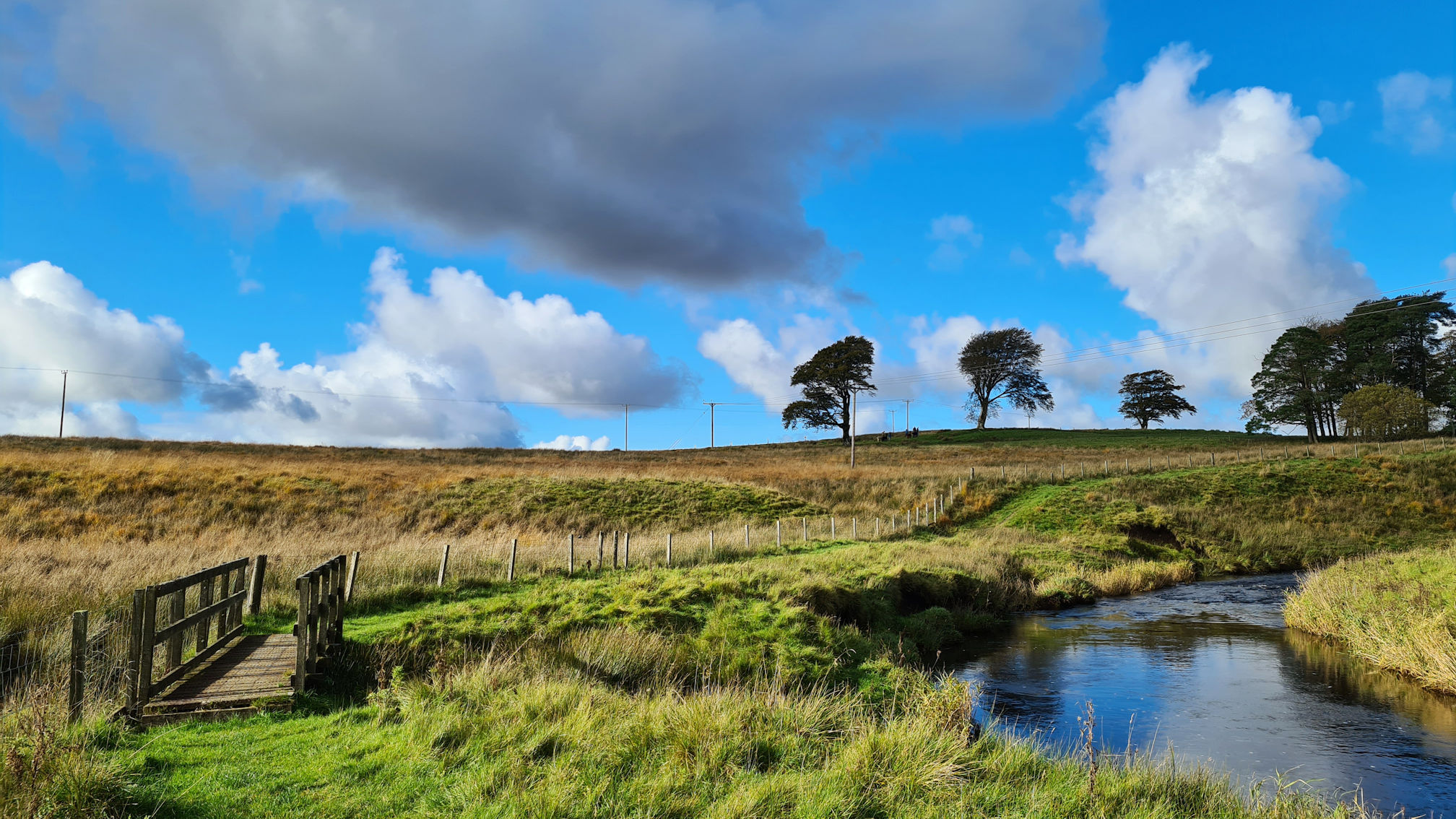 Small wooden footbridge beside the River Ayr, trees on small hill ahead