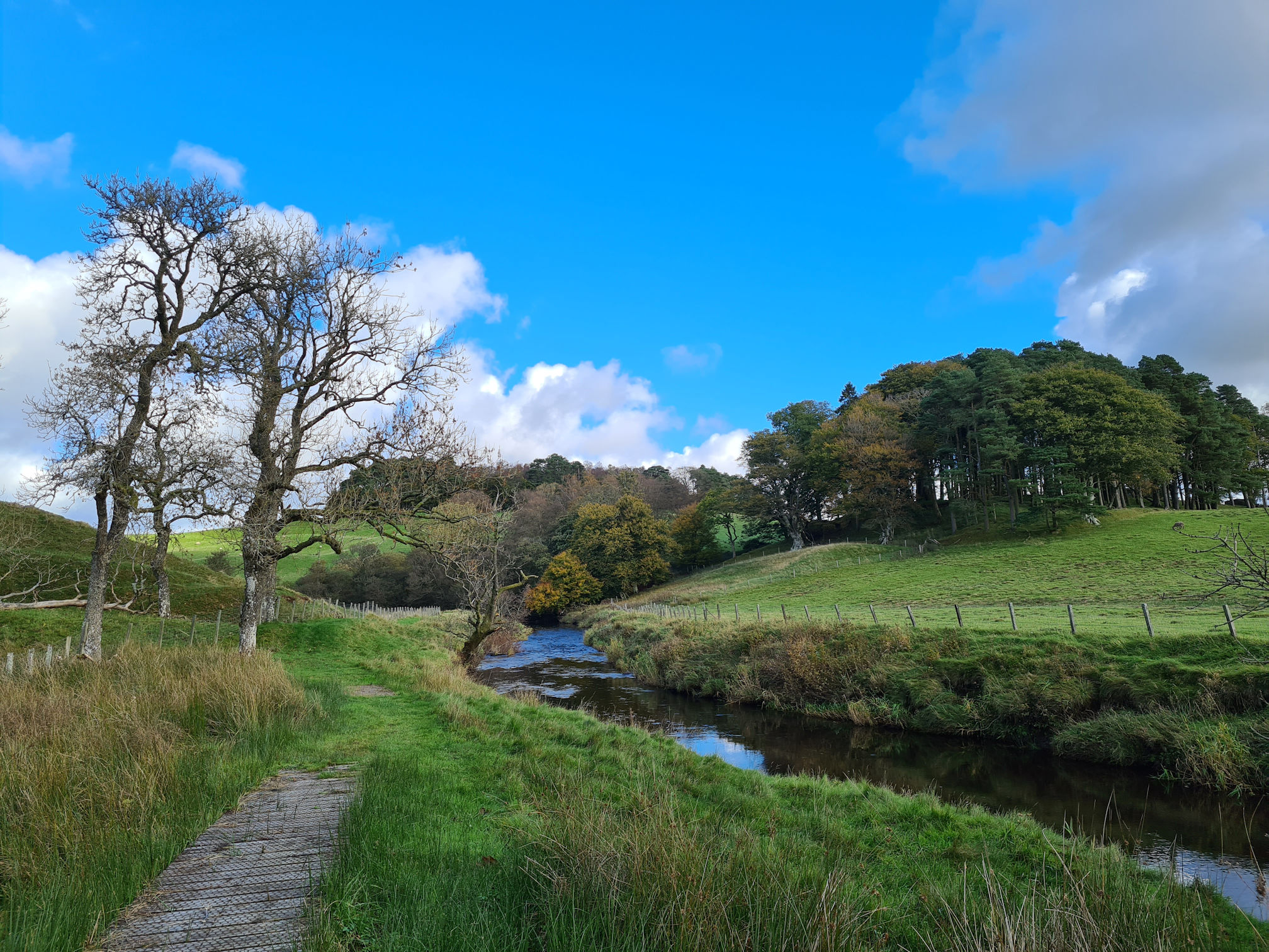 Grassy path along River Ayr, the sun is behind a cloud making it dull