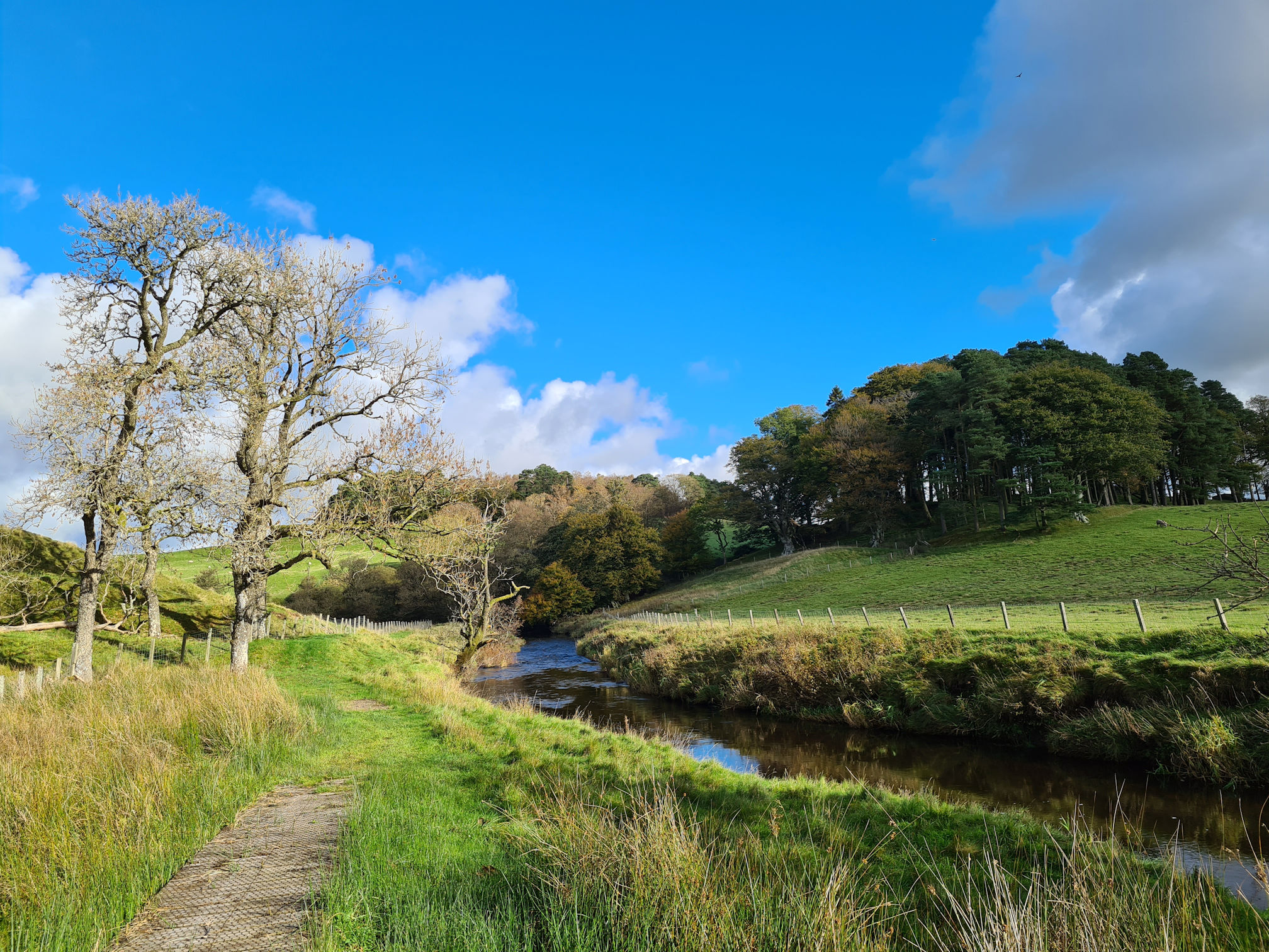 Grassy path along River Ayr, the sun is shining brightly on the path, trees and river