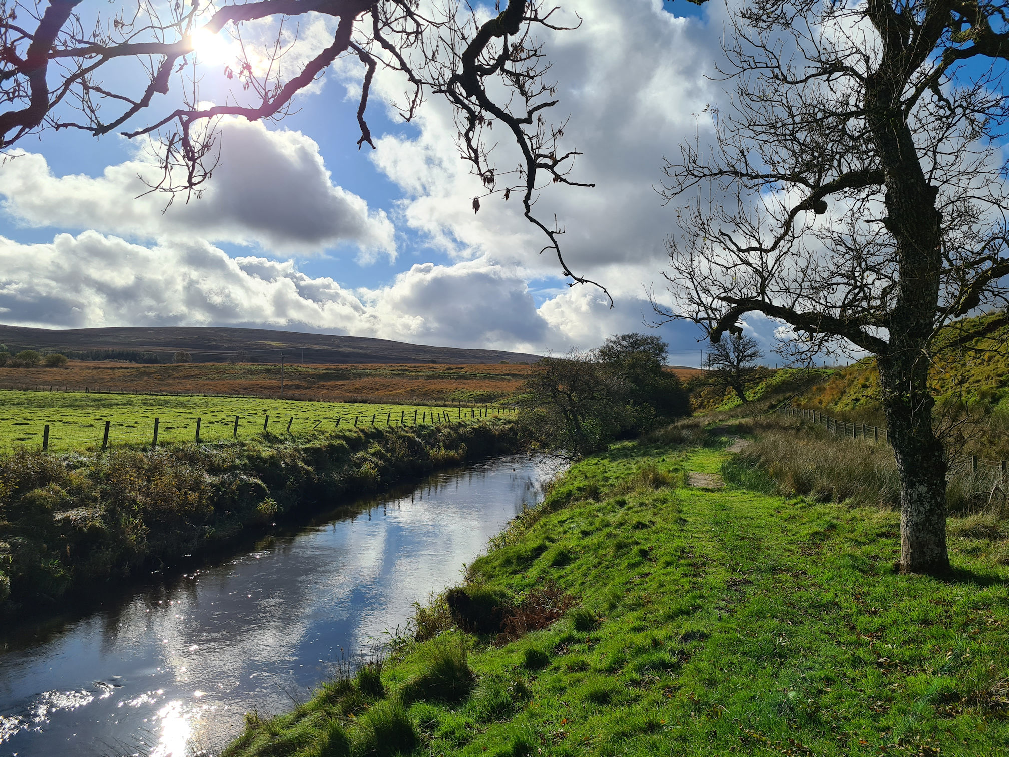 White puffy clouds cast their reflection in the river. Green grassy path, a bare tree and autumnal colours of brown on the land ahead.