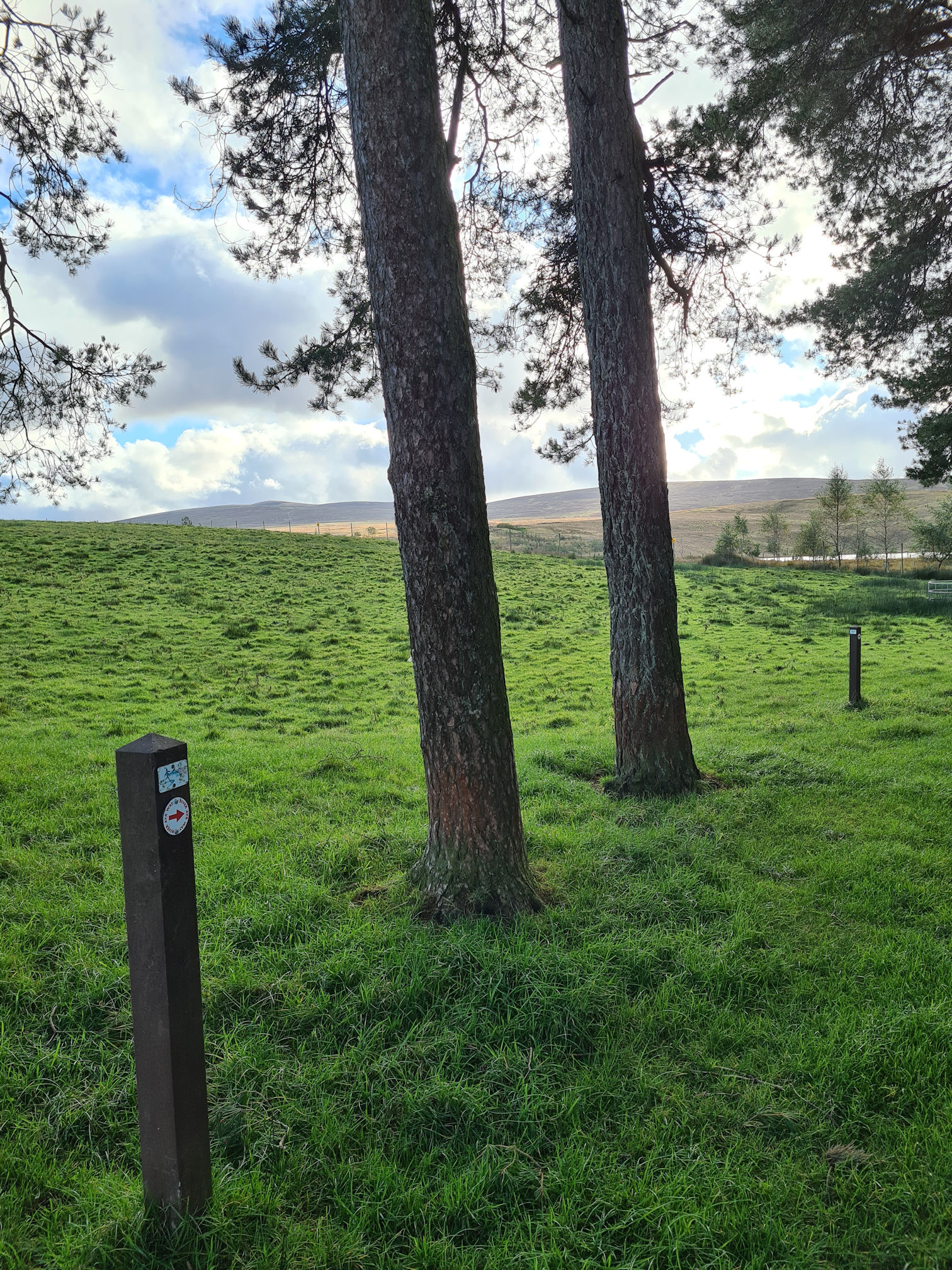Sign post for the River Ayr Way, grassy path and tall trees