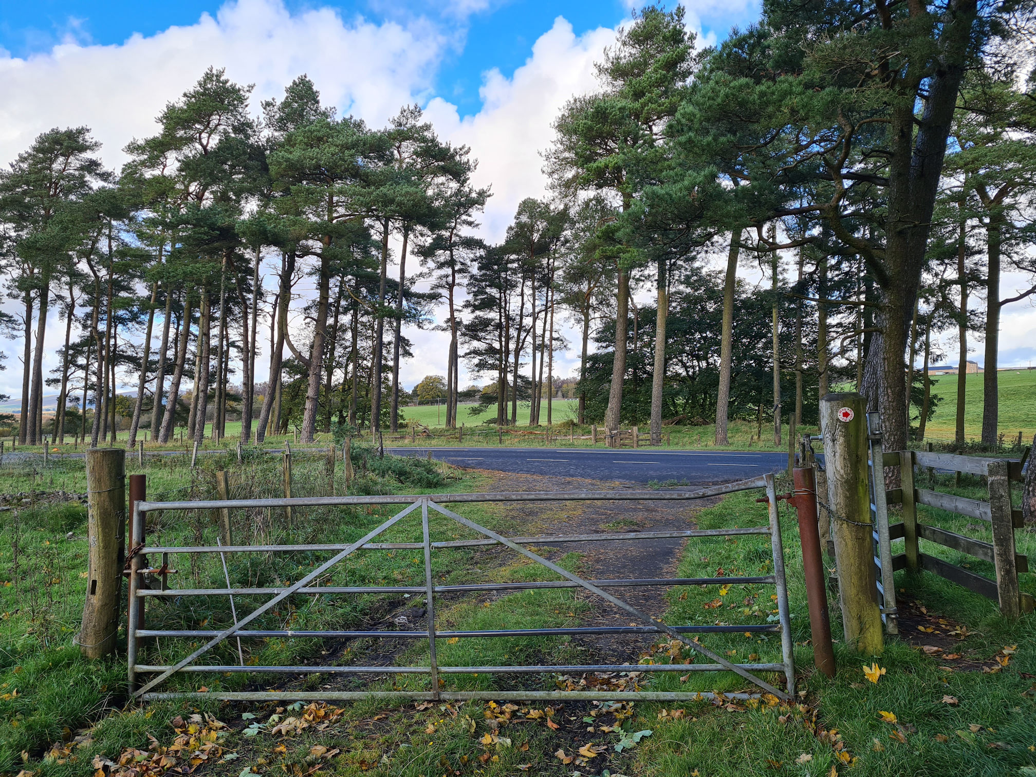 Access gate for vehicles and a side gate for walkers, road to cross to reach the path on the other side