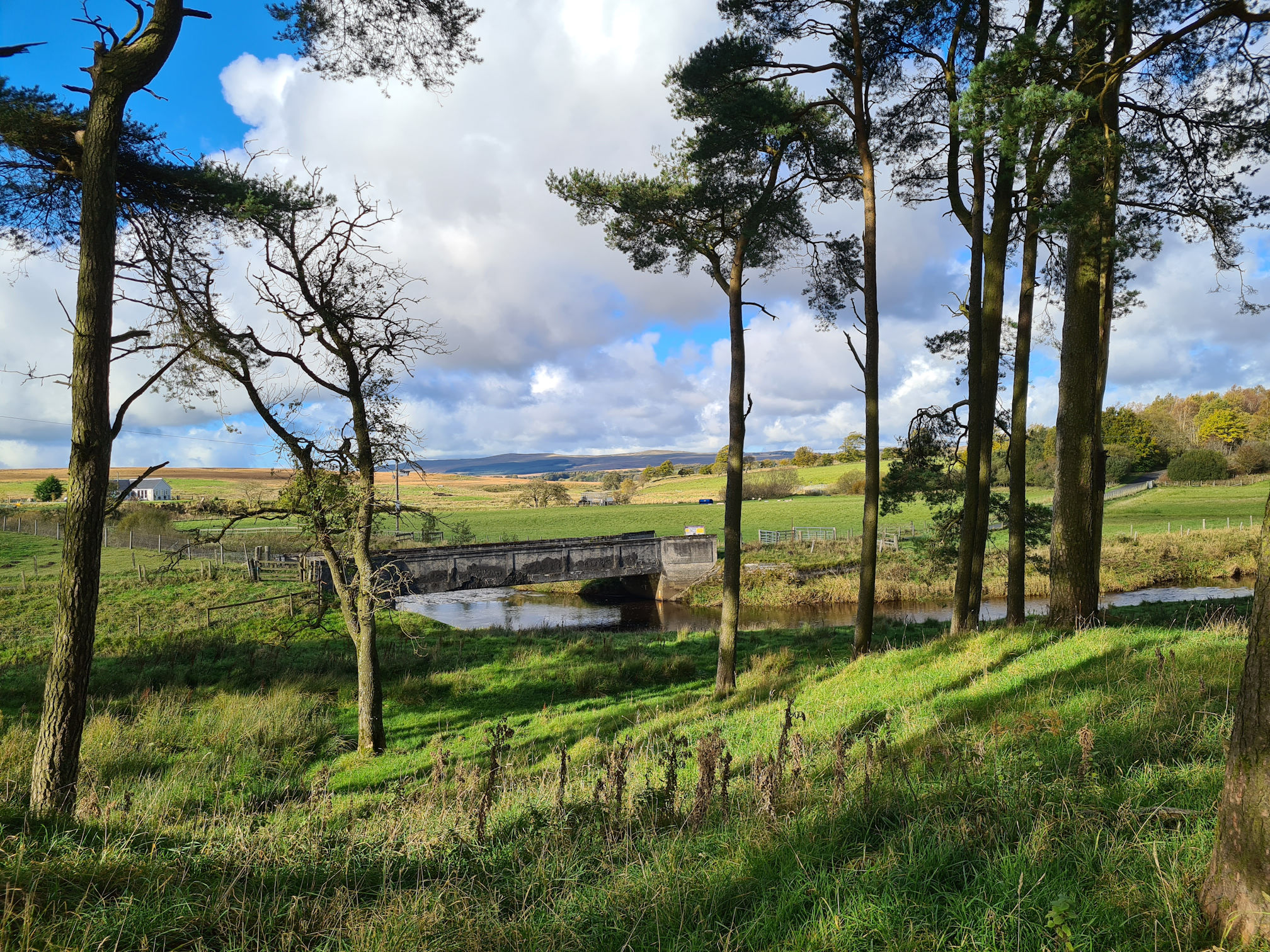 Grassy path, trees and bridge ahead with the river flowing underneath