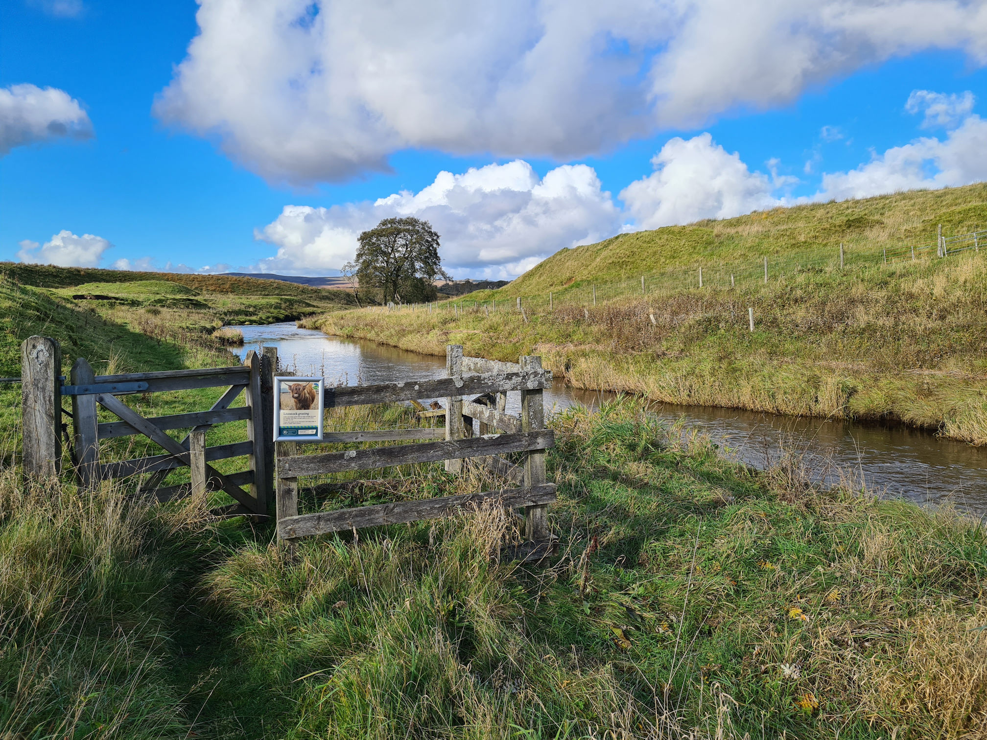 Gate beside the river, beautiful blue sky, white puffy clouds and a lone tree in the distance