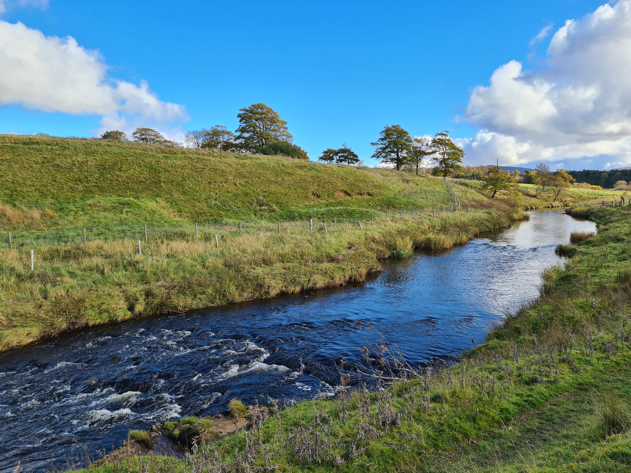 River, trees, blue sky and puffy white clouds