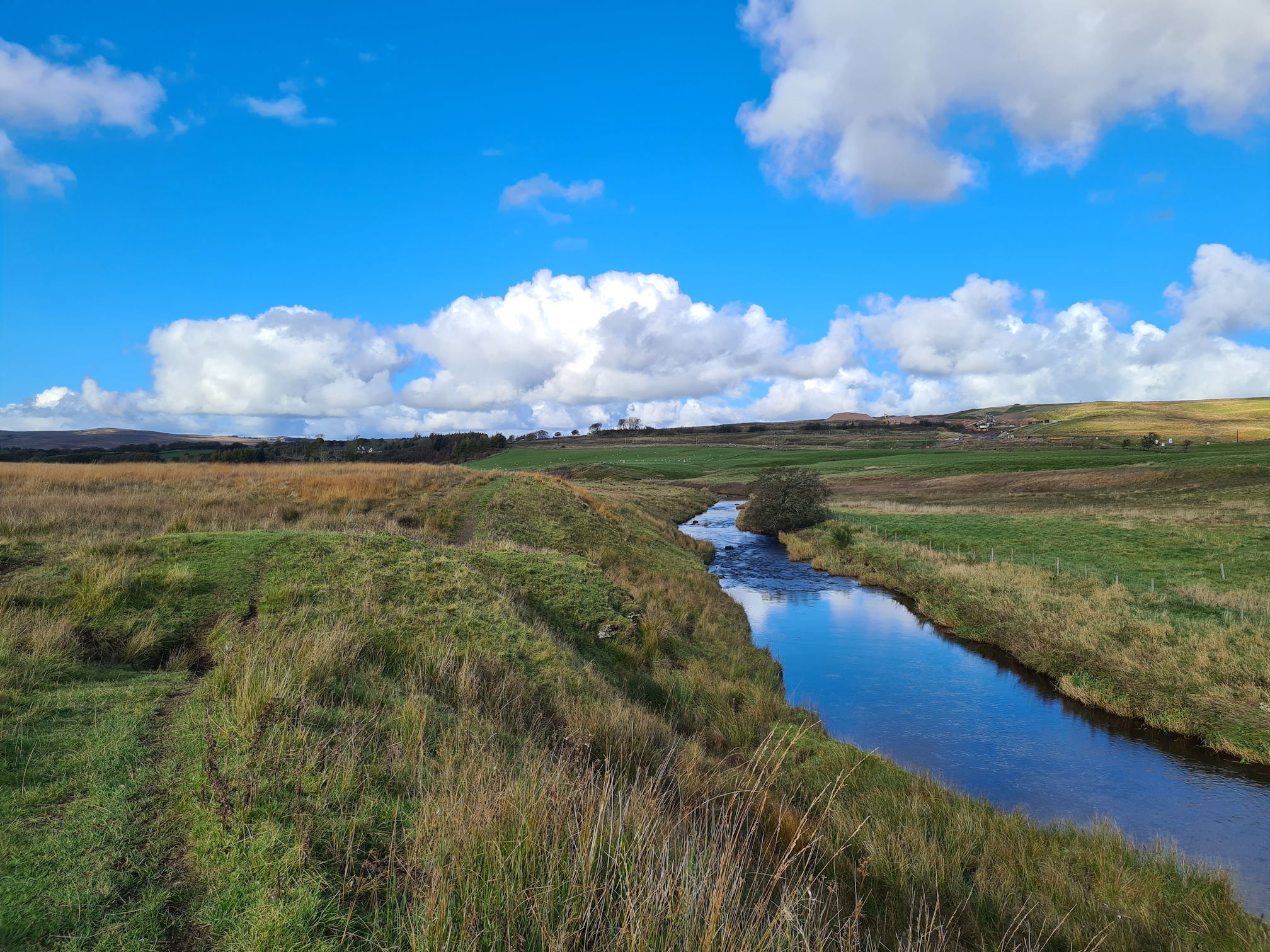 River, tree, blue sky and puffy white clouds