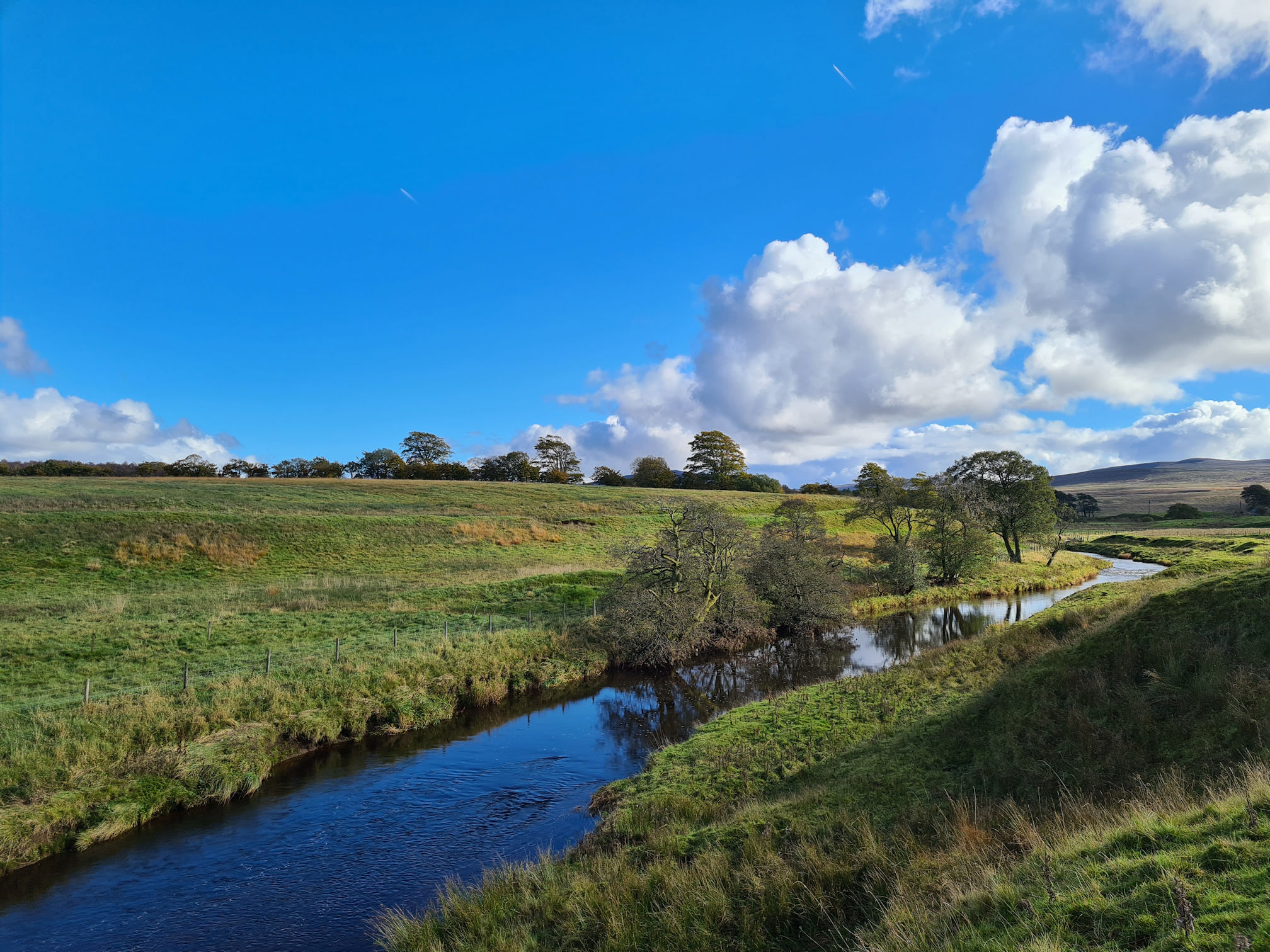 River, trees, blue sky and puffy white clouds