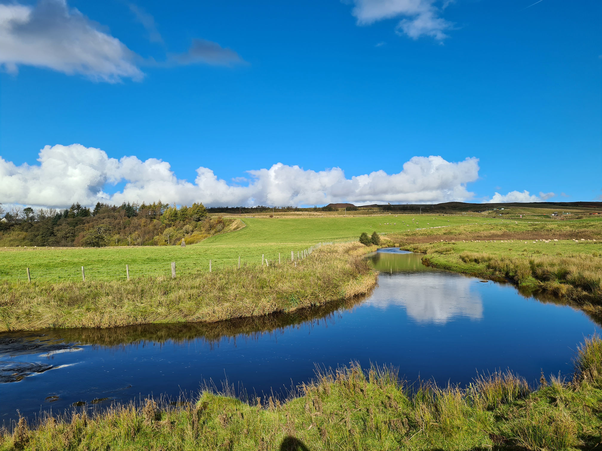 The river is calm and slow flow. The bright blue sky and fluffy white clouds cast their reflection in the water. It's like a water painting.