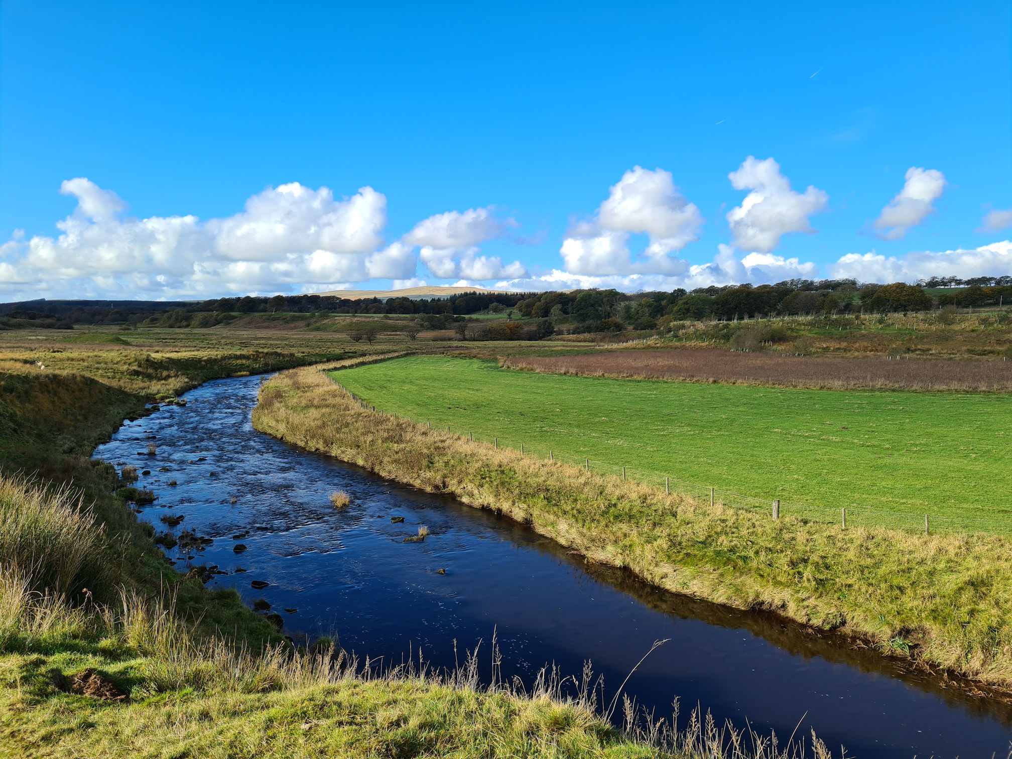 The river bends to the right and flows towards a bright blue sky and puffy white clouds