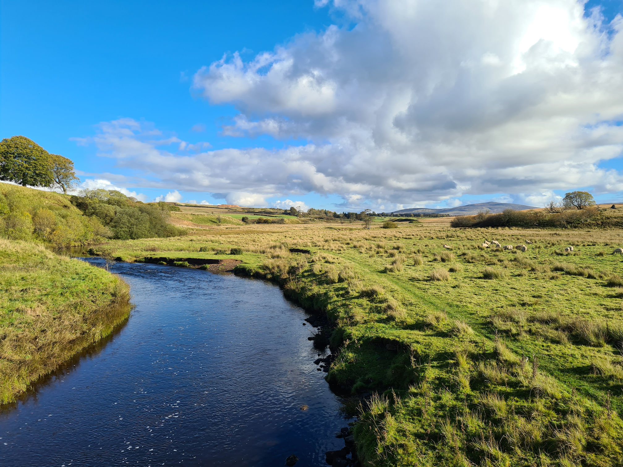 View from a bridge, river, vast open countryside, sheep, bright blue sky and white puffy clouds, hills in the distance