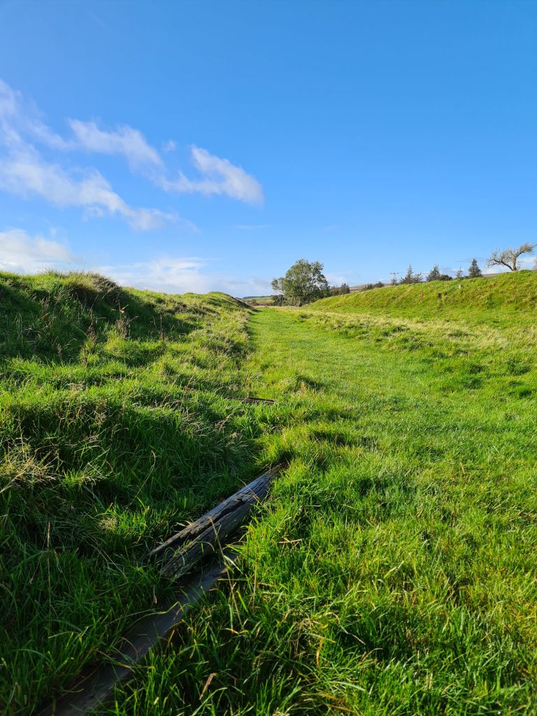 Long grassy path and two old wooden sleepers from a railway line sitting on the grass