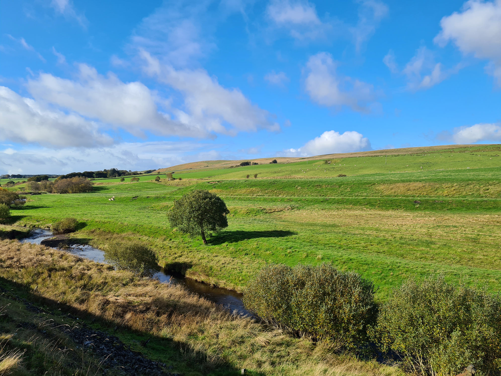 River Ayr, green fields and trees