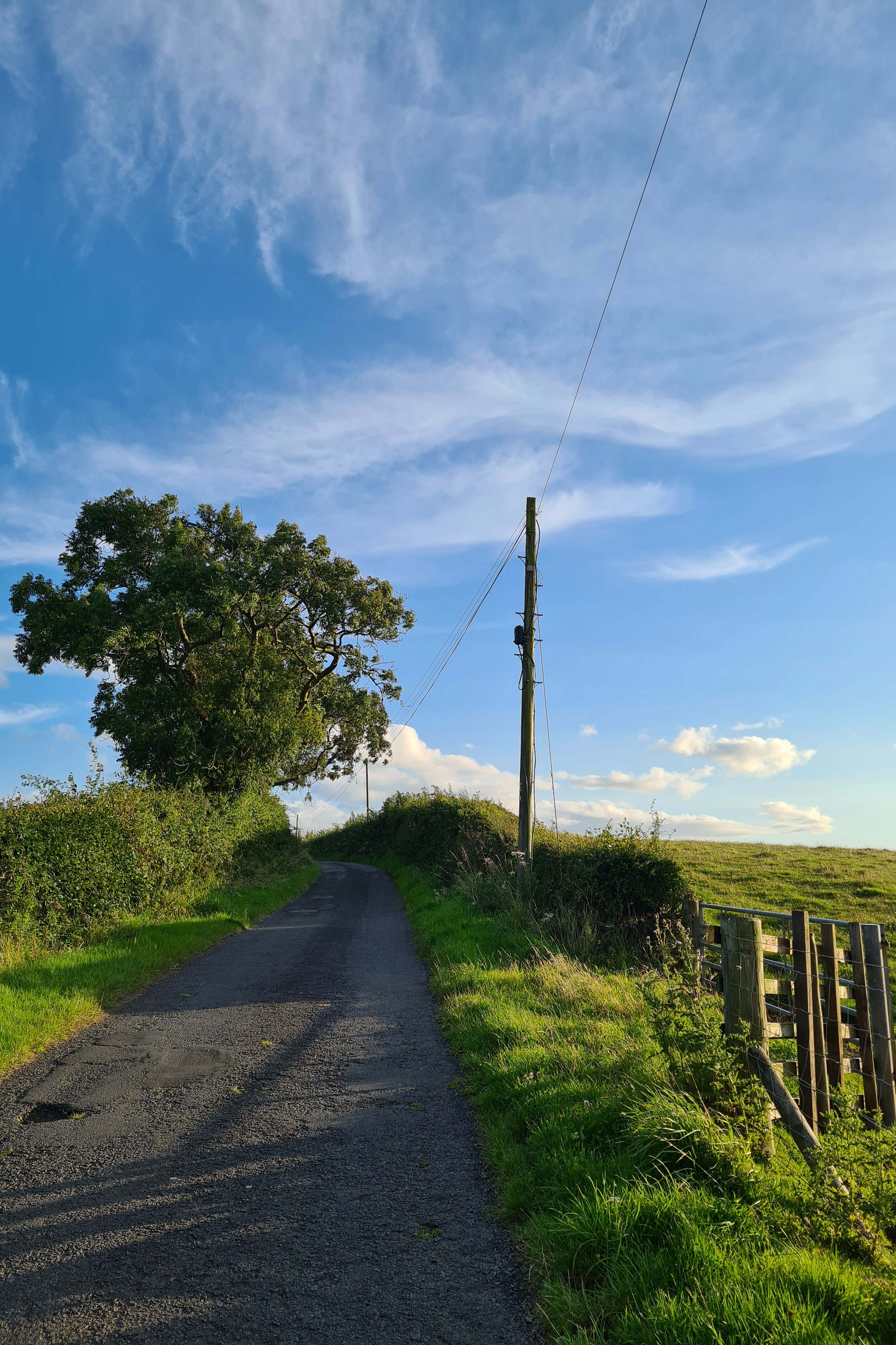 Uphill country road, tree, blue sky and white clouds