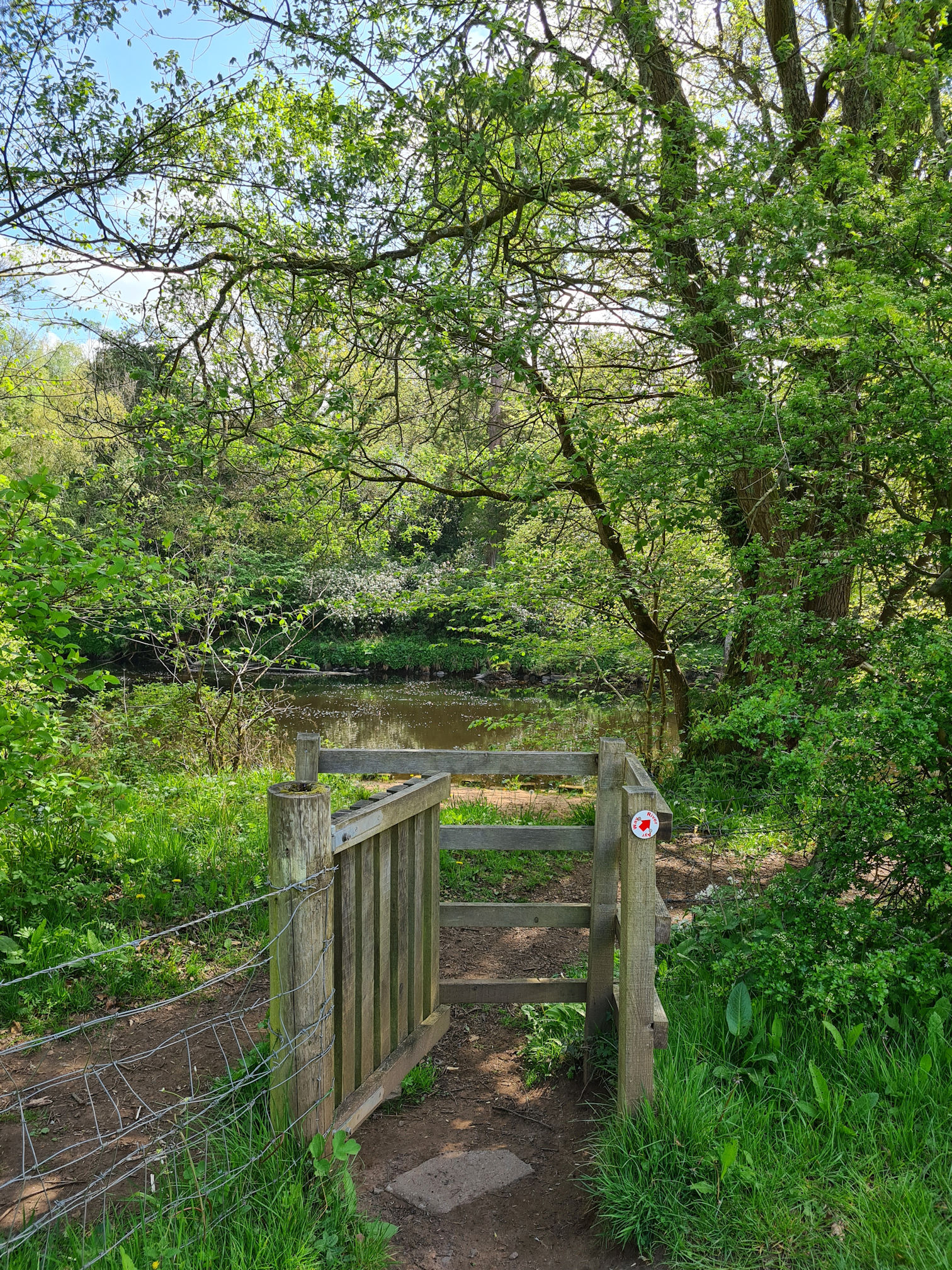 Wooden gate leading to a river and a path through the woods