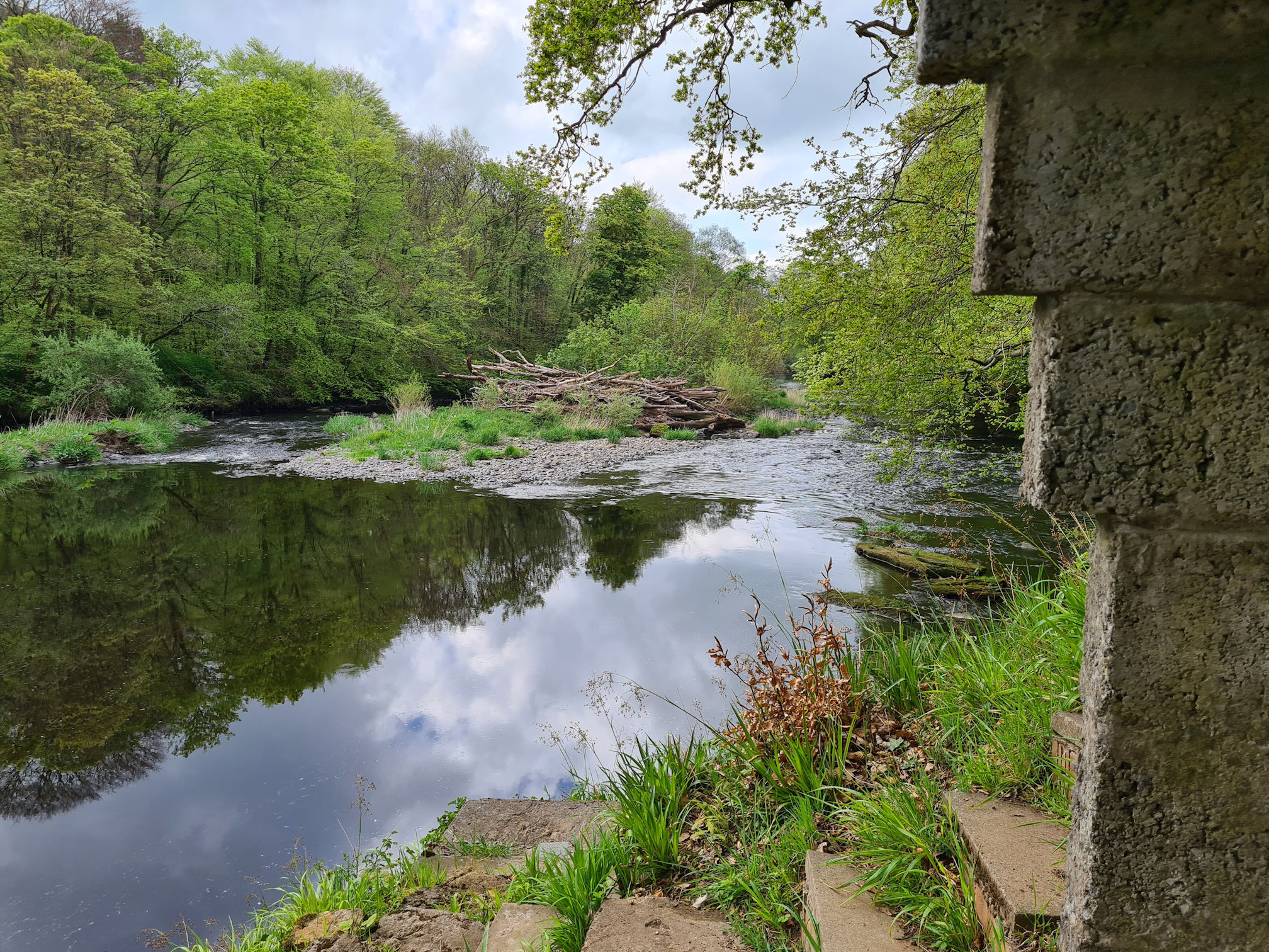 Steps, river, trees and reflections in the water, peaceful