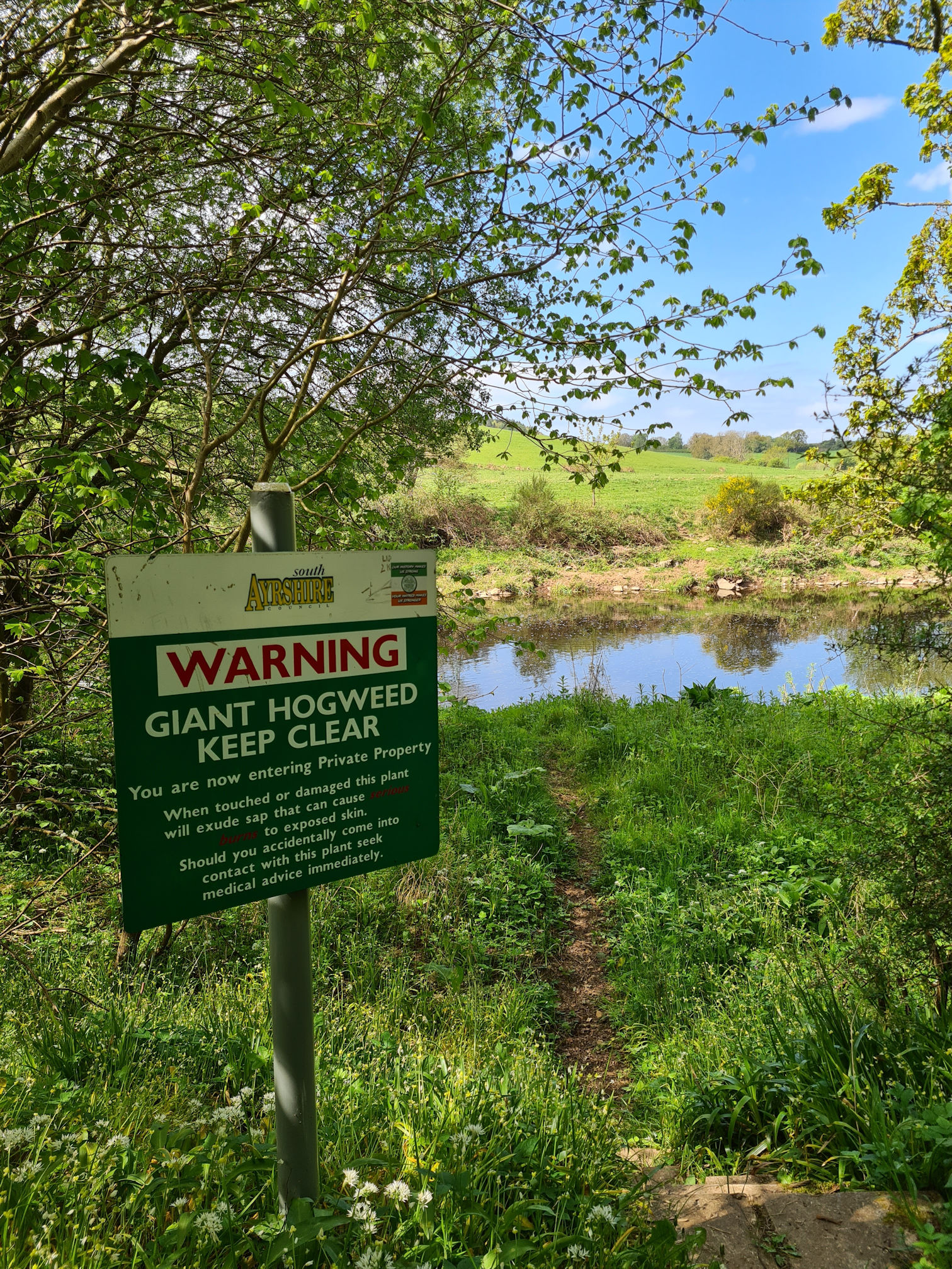 Sign warning about Giant Hogweed in this area and if you touch or damage it the sap can cause serious burns to exposed skin.