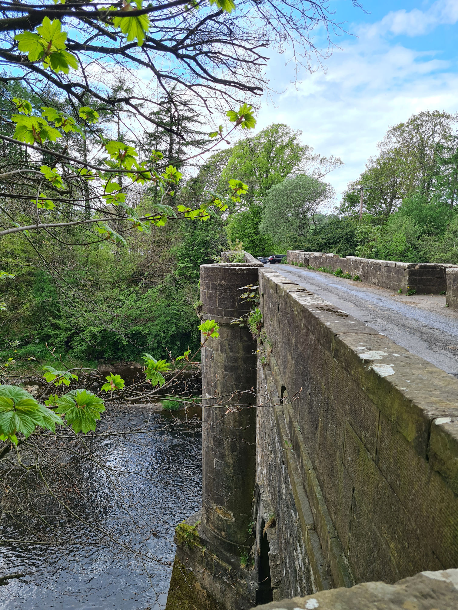 View looking down to the River Ayr from higher up on Oswald's bridge