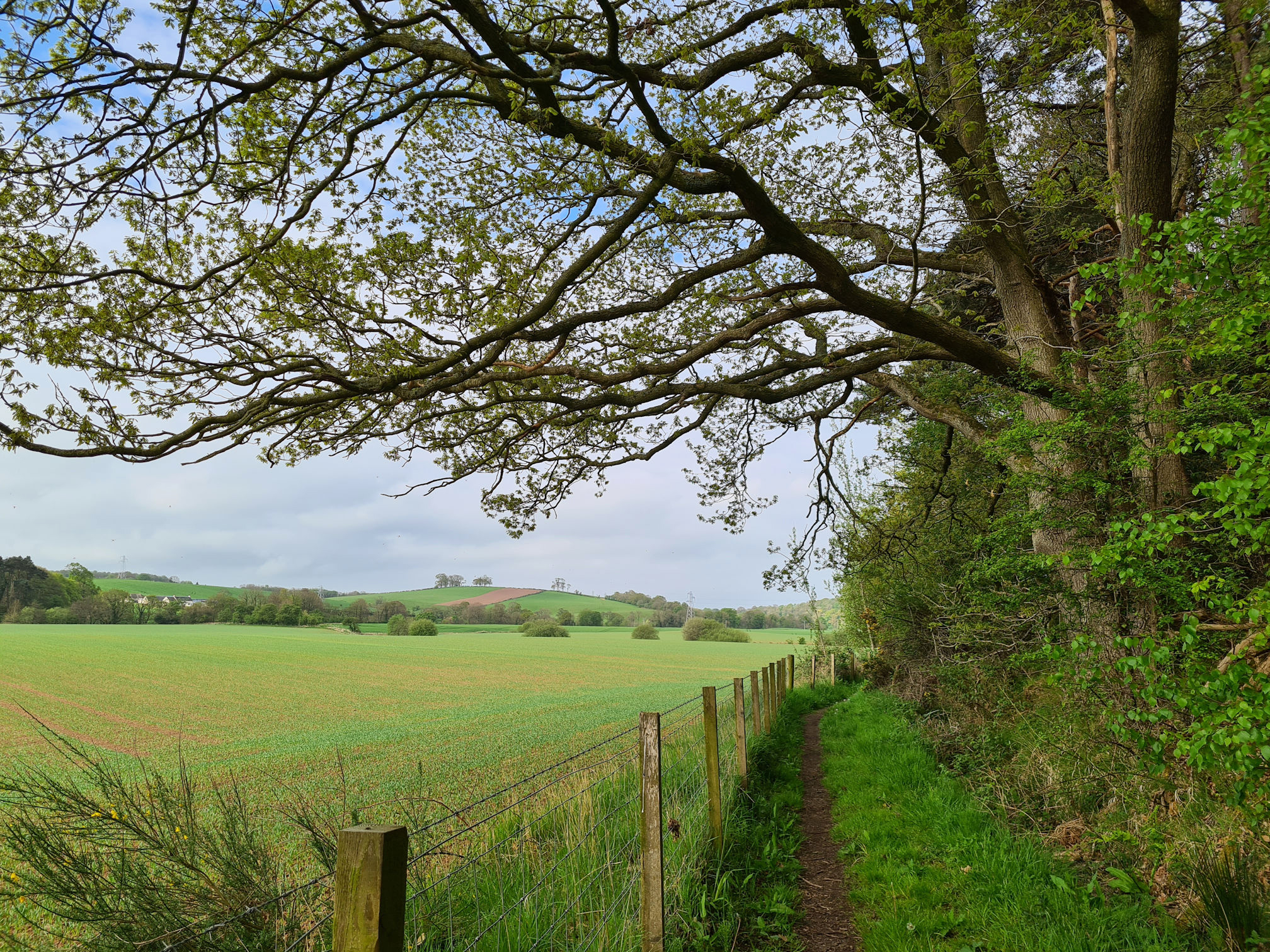 River Ayr Way at Stair